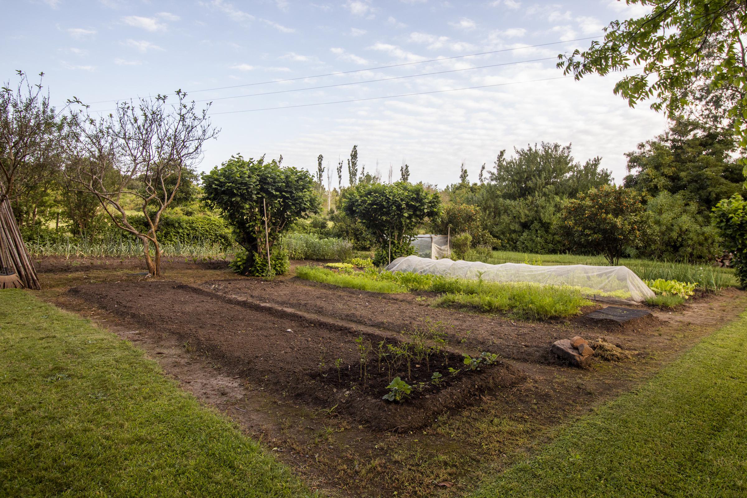  4,4 ha farm in Laguna del Sauce - 物件實景