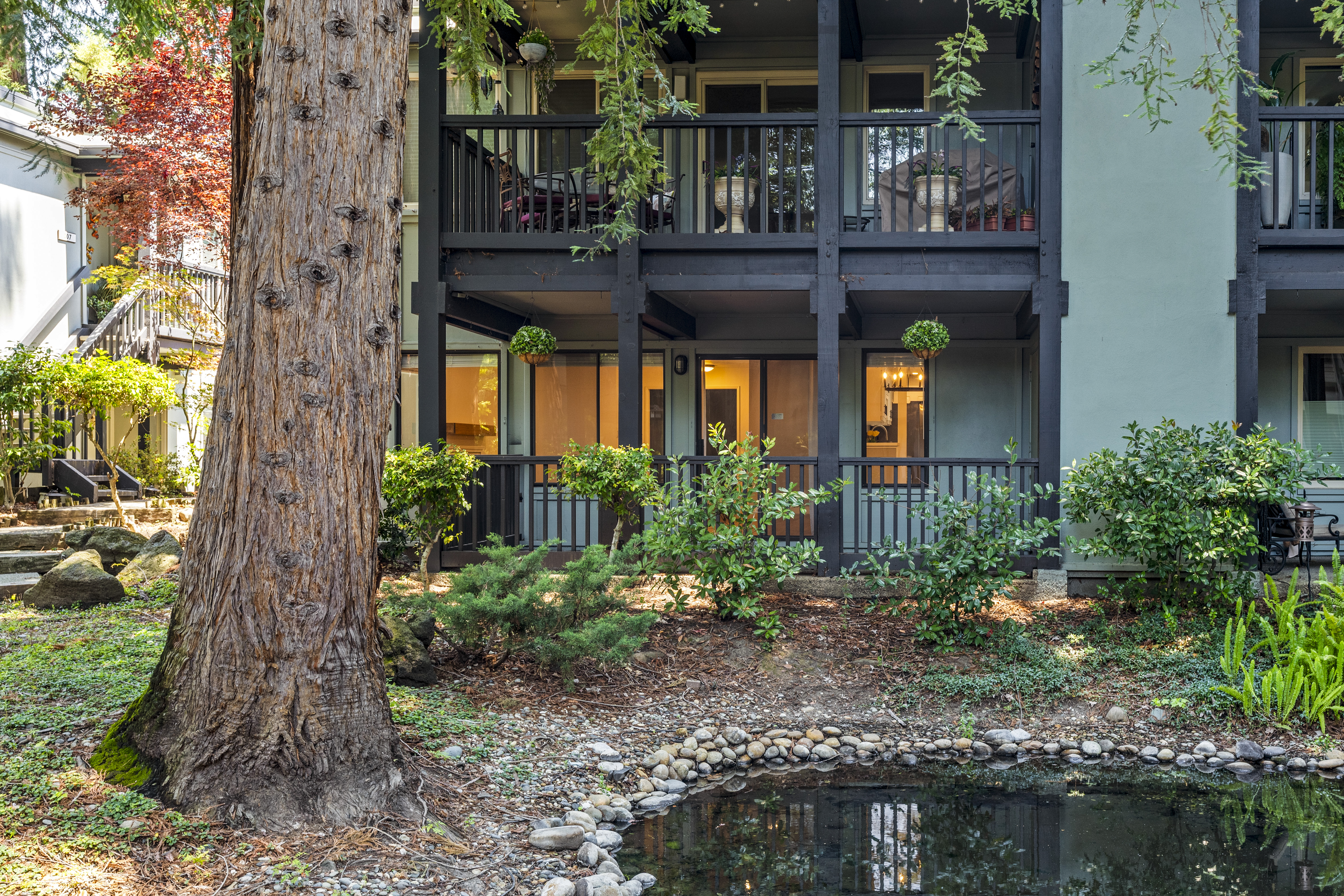  Tranquil Westside Danville Condominium Surrounded by Majestic Redwoods - 物件實景
