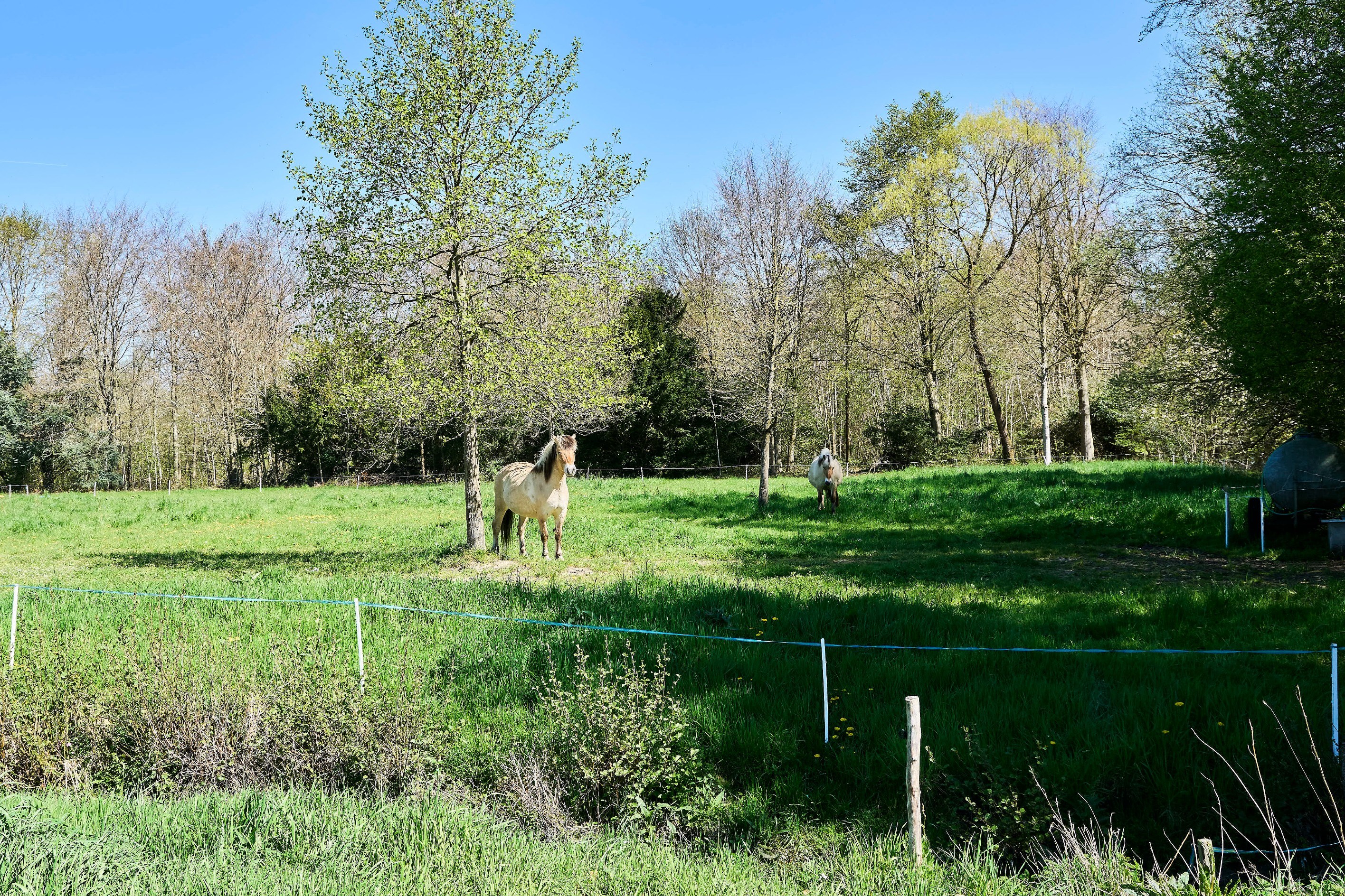  Great Property - 5 Bedrooms - 物件實景