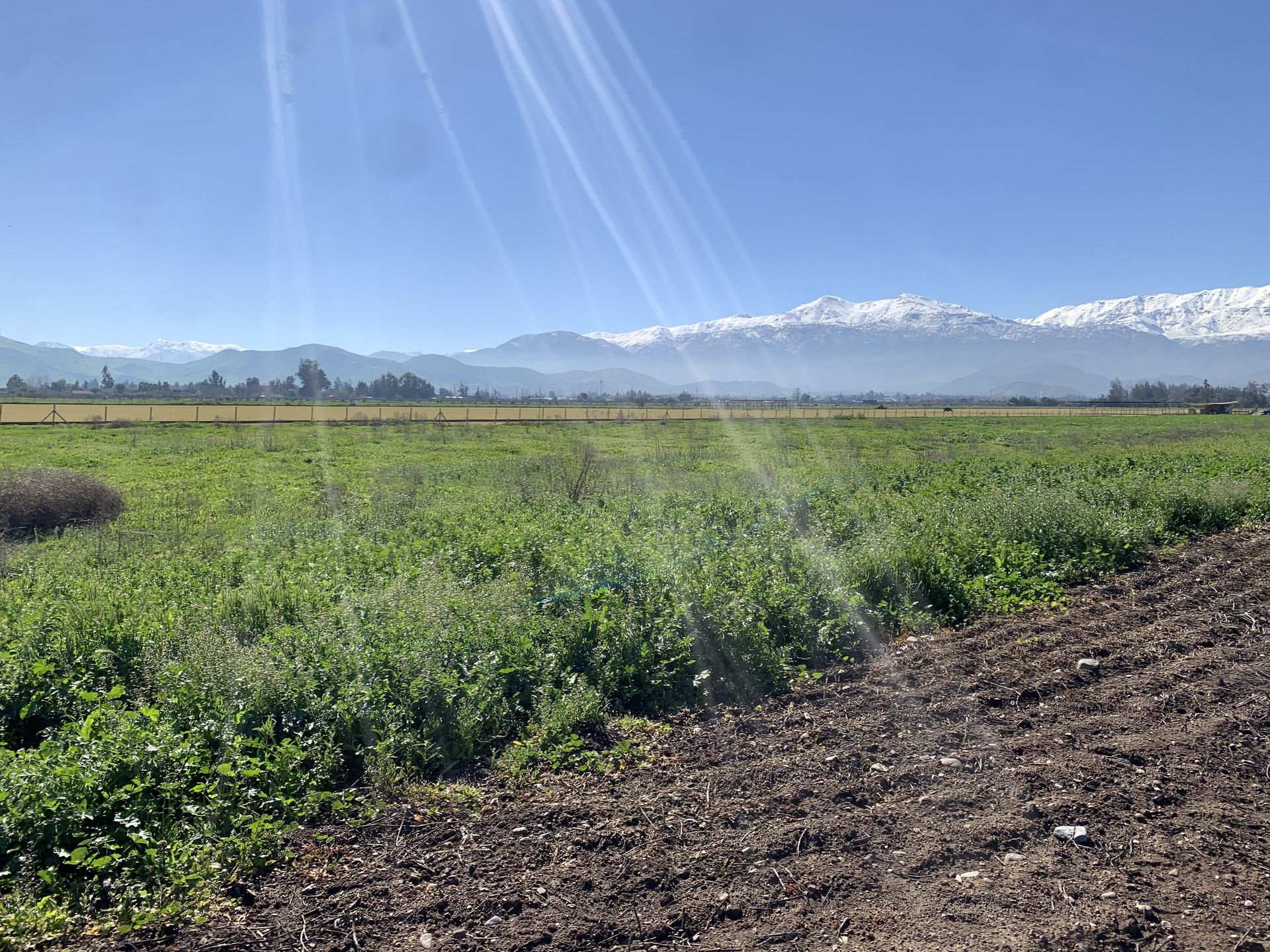 Colina, Chile, ,Land,For Sale,1940115