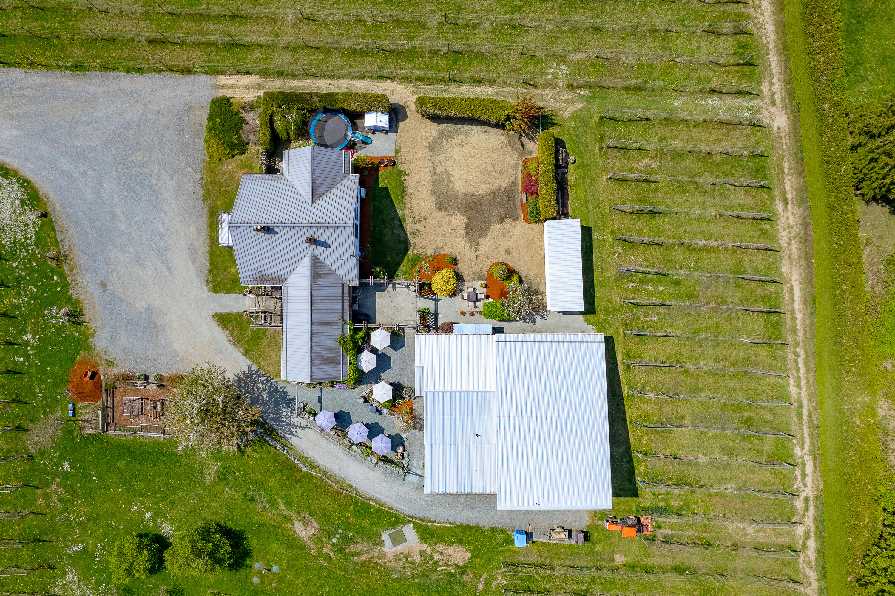  Welcome to Emandare Vineyard - 物件實景