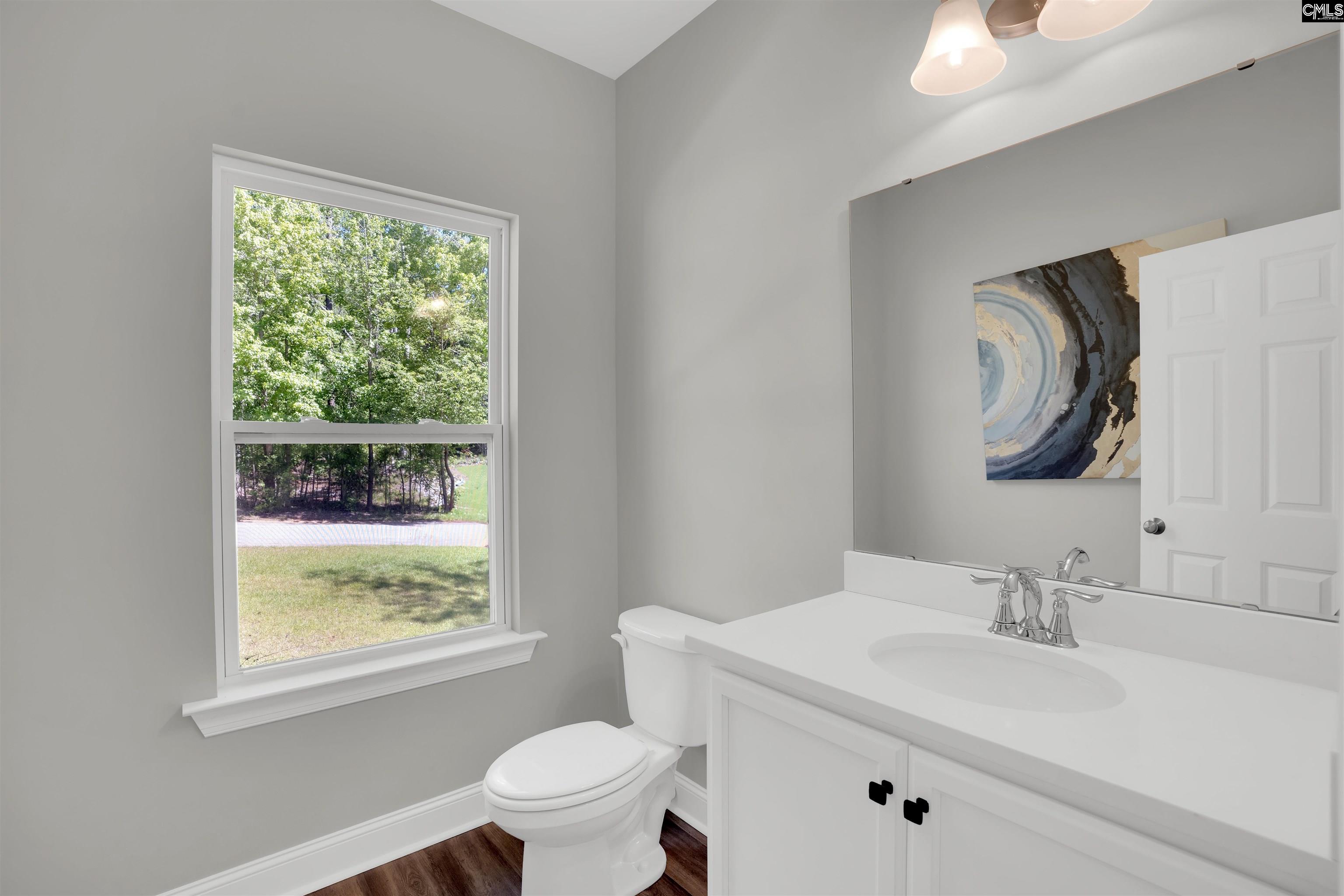 Chapin, South Carolina, 29036, United States, 3 Bedrooms Bedrooms, ,3 BathroomsBathrooms,Residential,For Sale,1804271