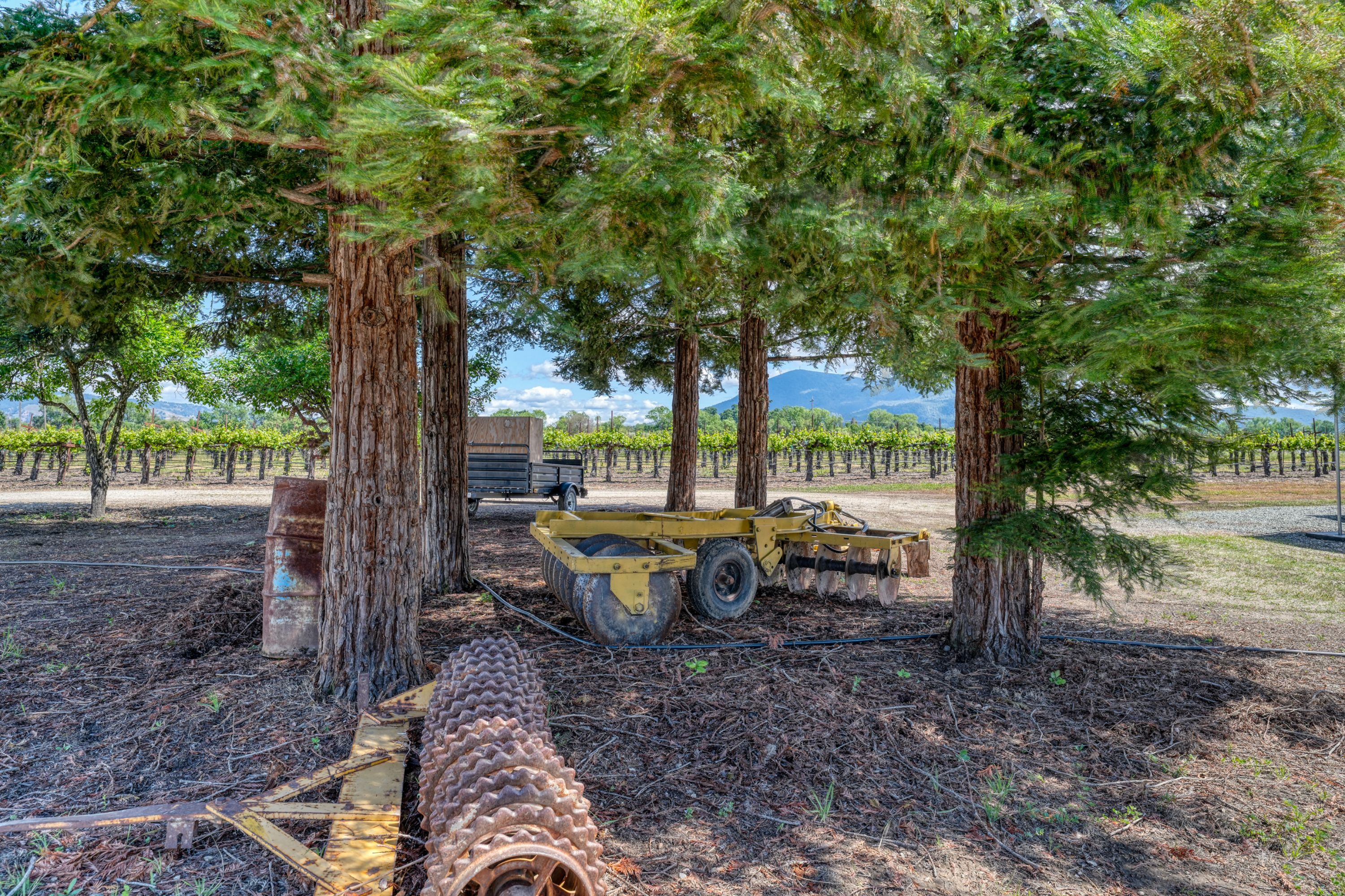  Lake County: The Place to Be - 物件實景