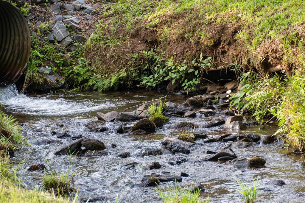 Blue Ridge, Georgia, 30513, United States, 3 Bedrooms Bedrooms, ,3 BathroomsBathrooms,Residential,For Sale,1974409