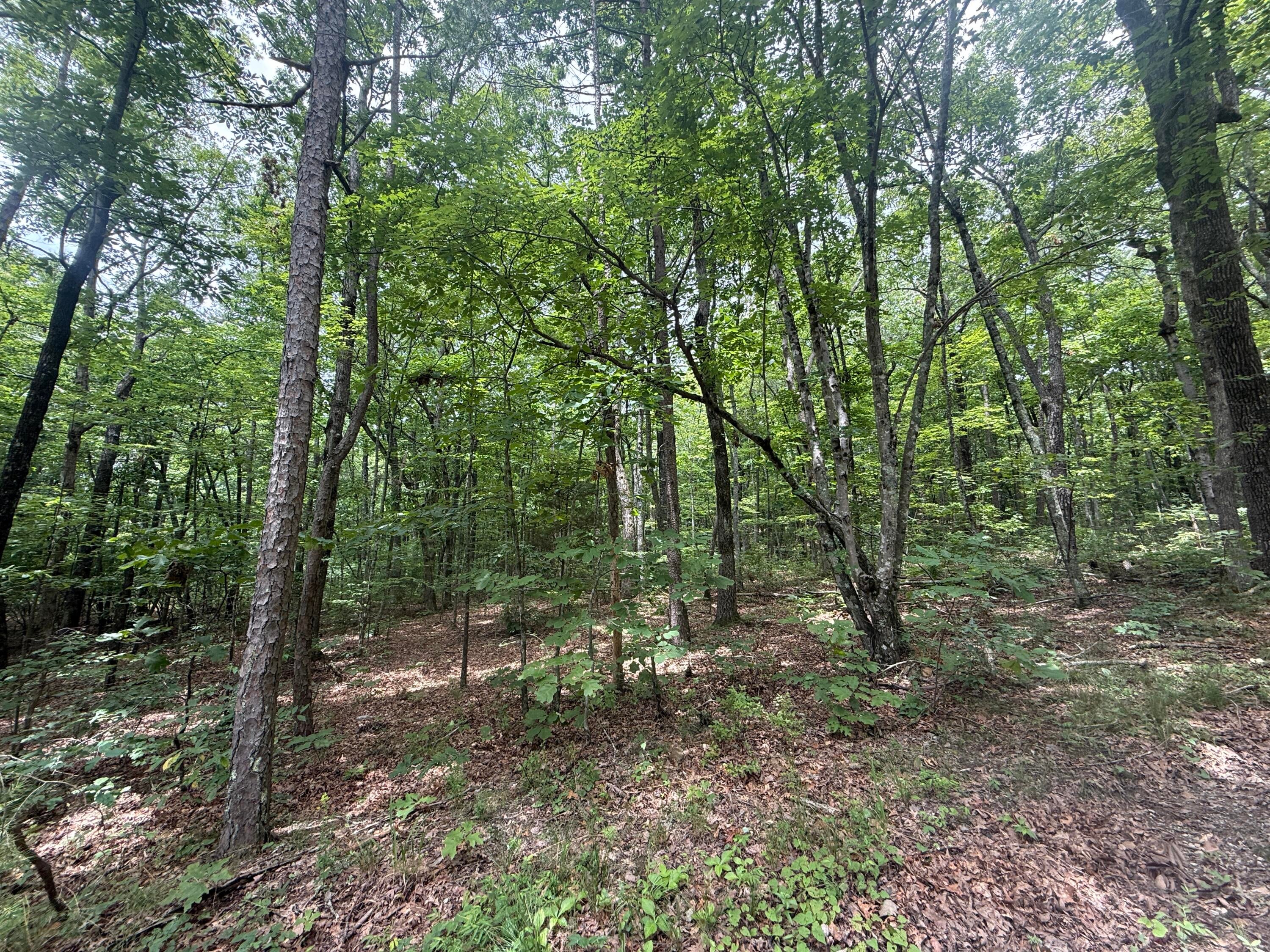 Dunlap, Tennessee, 37327, United States, ,Land,For Sale,1877286
