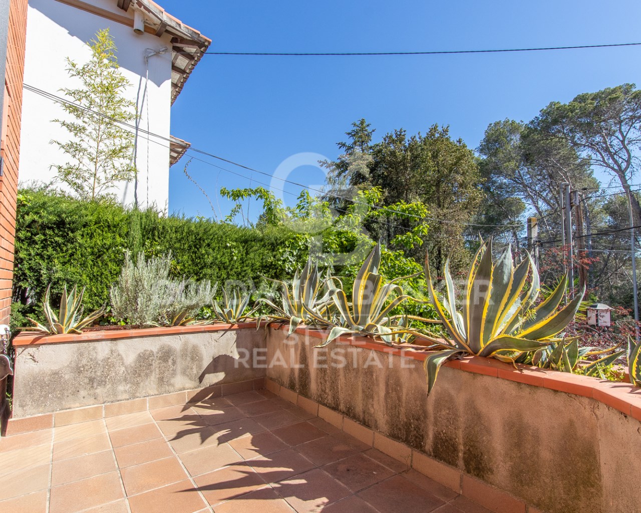 Barcelona, Terrassa, Can Jofresa - Can Perellada -, Terrassa, Catalonia, ES, 5 Bedrooms Bedrooms, ,3 BathroomsBathrooms,Residential,For Sale,Barcelona, Terrassa, Can Jofresa - Can Perellada -,1642664