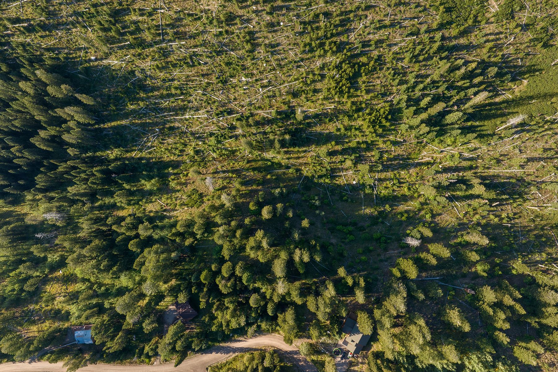  Wilson Acreage Bordering Bridger-Teton National Forest - 物件實景