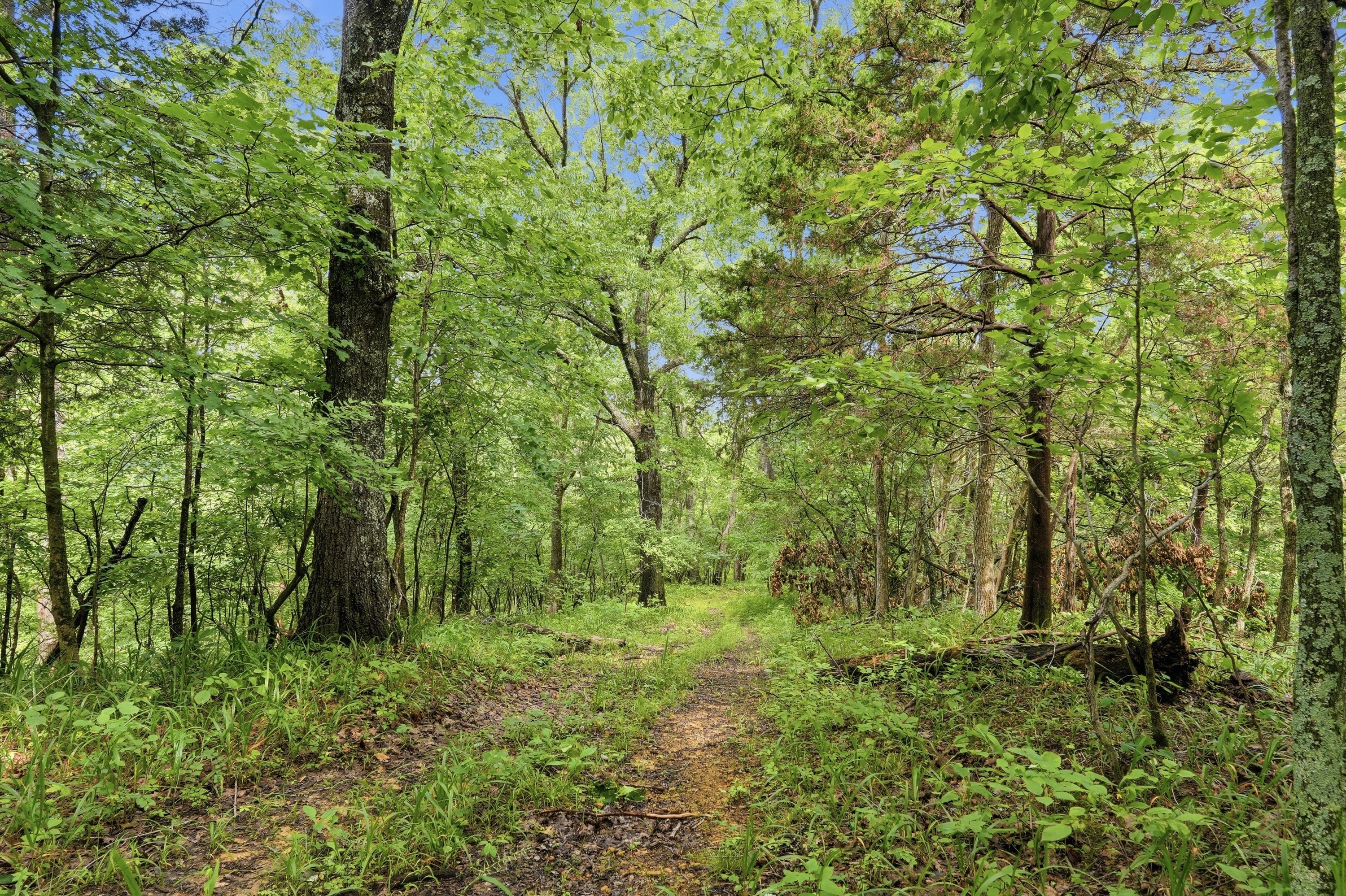  3850 Smith Lane, La Grange, KY 40031 - 物件實景