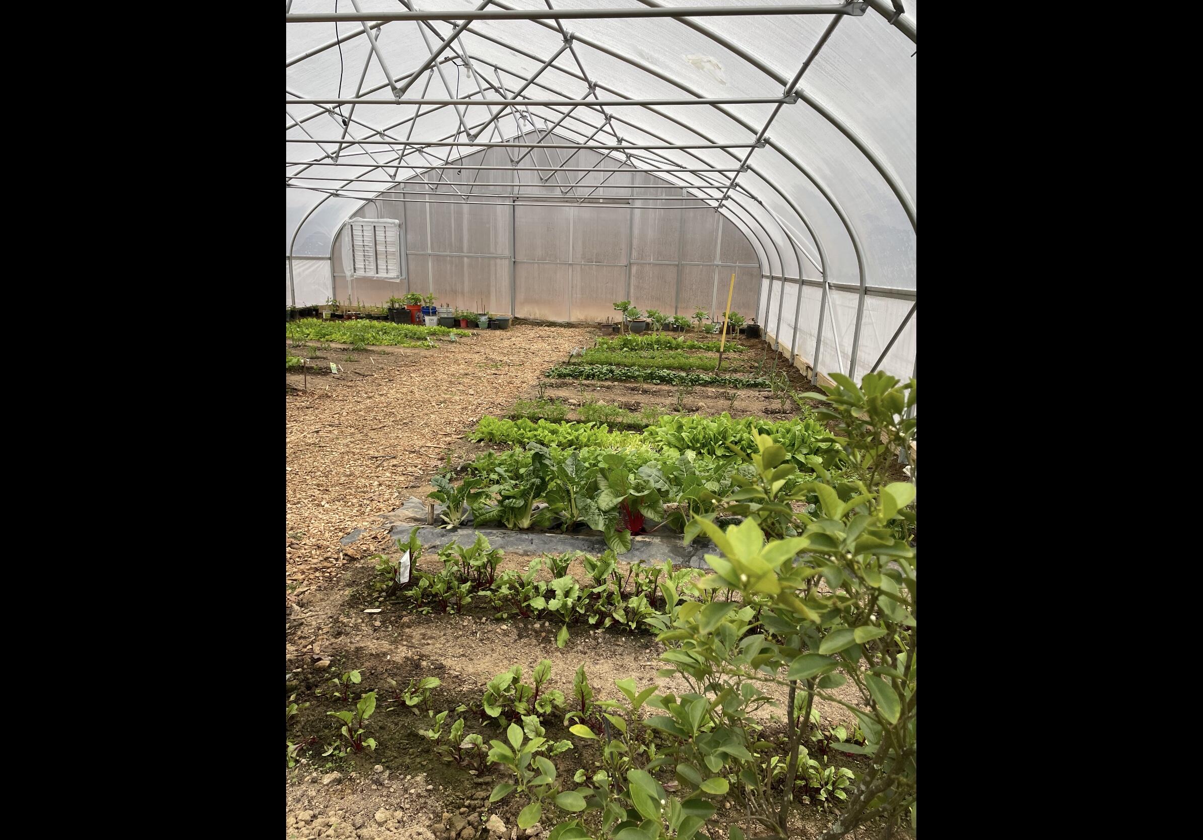 Tracy City, Tennessee, 37387, United States, 3 Bedrooms Bedrooms, ,Residential,For Sale,1979741