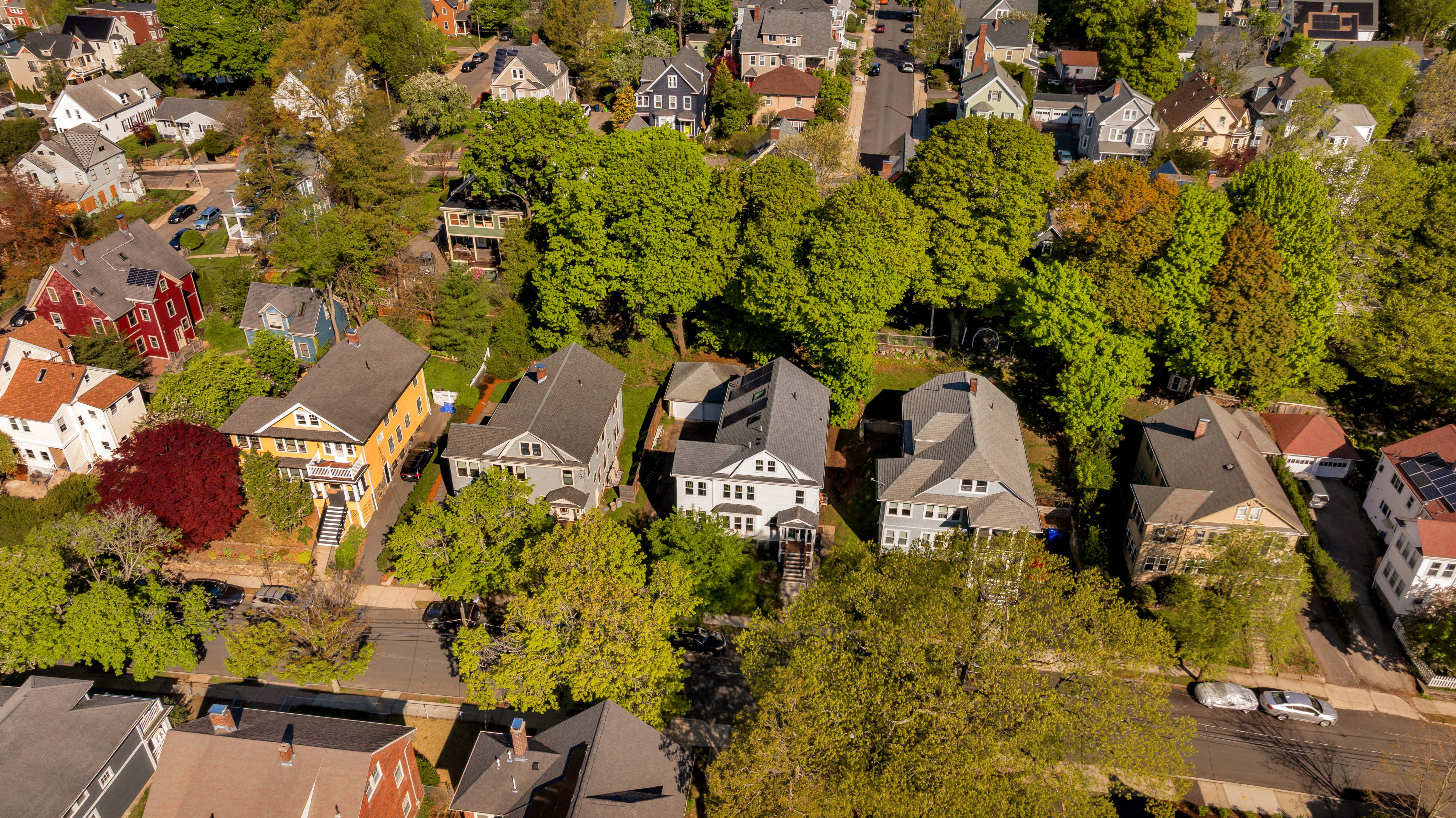  16 Arborough Road, Boston, MA, 02131 - 物件實景