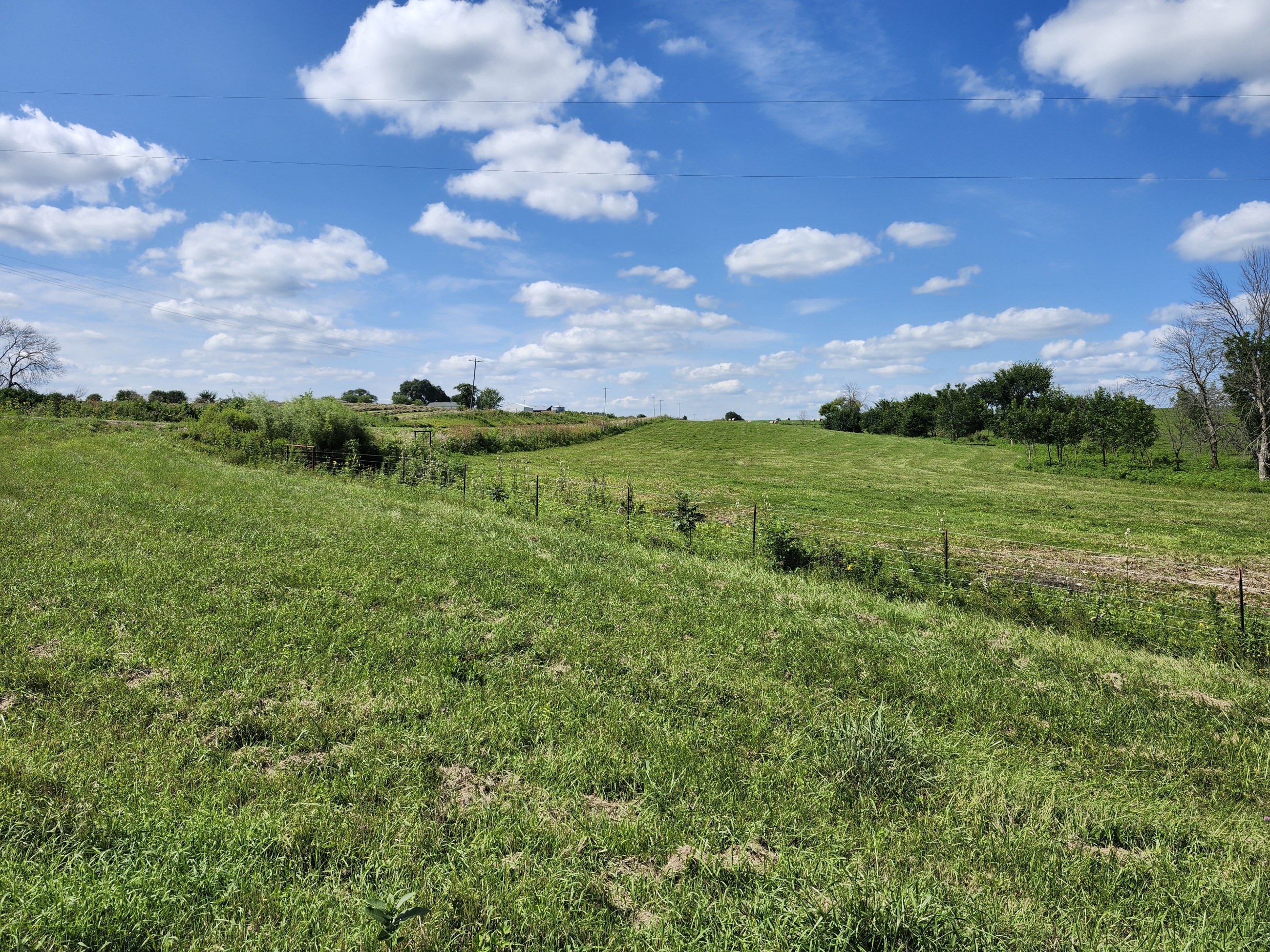 Princeton, Missouri, 64673, United States, ,Land,For Sale,2001559