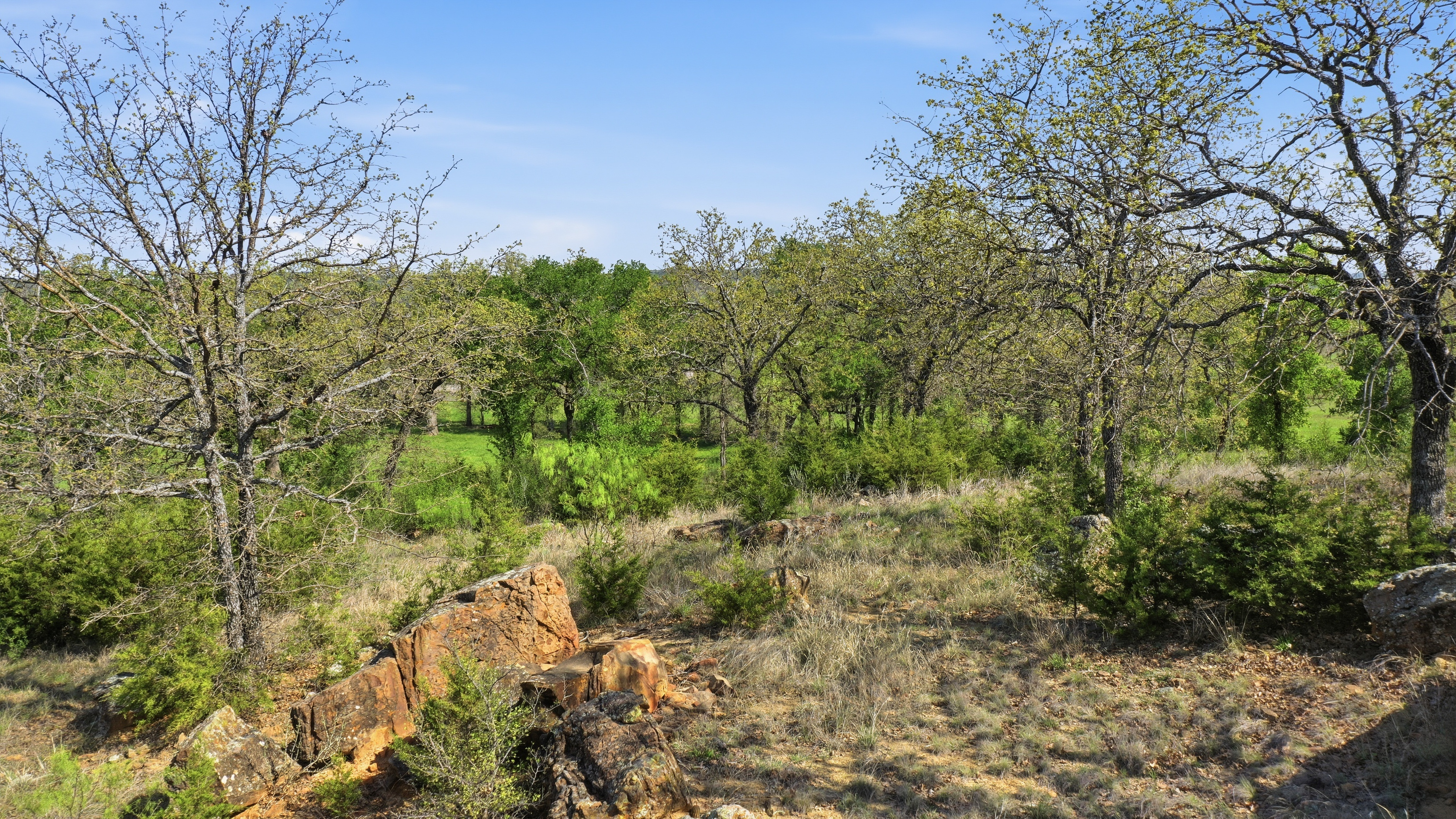  Space for Barns, Workshops, and Big Texas Dreams - 物件實景