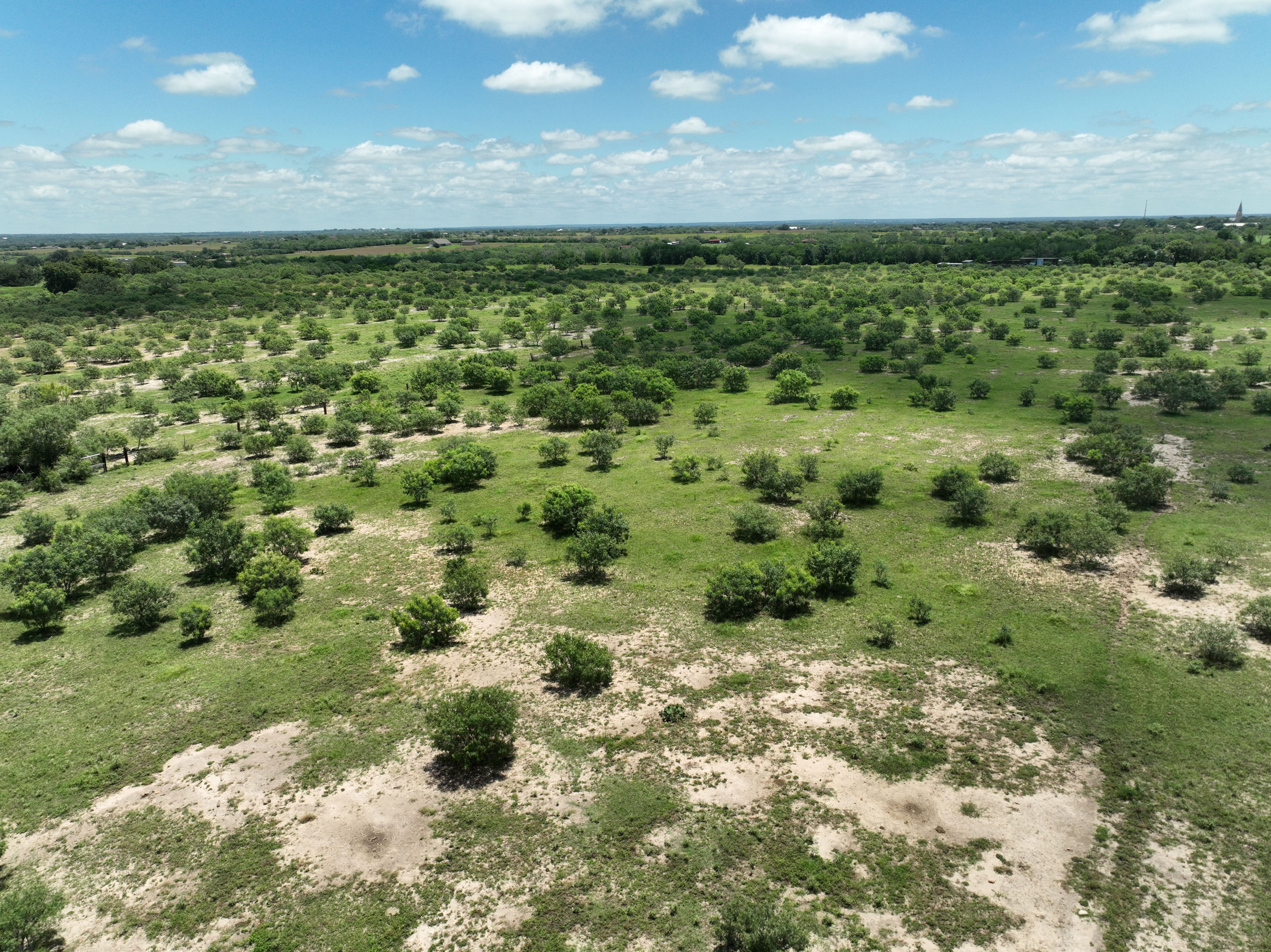  87.69+/- Acres in Bexar County - 物件實景