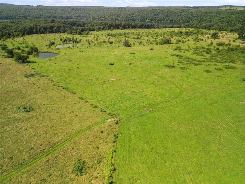 Udall, Missouri, 65766, United States, ,Land,For Sale,1984172