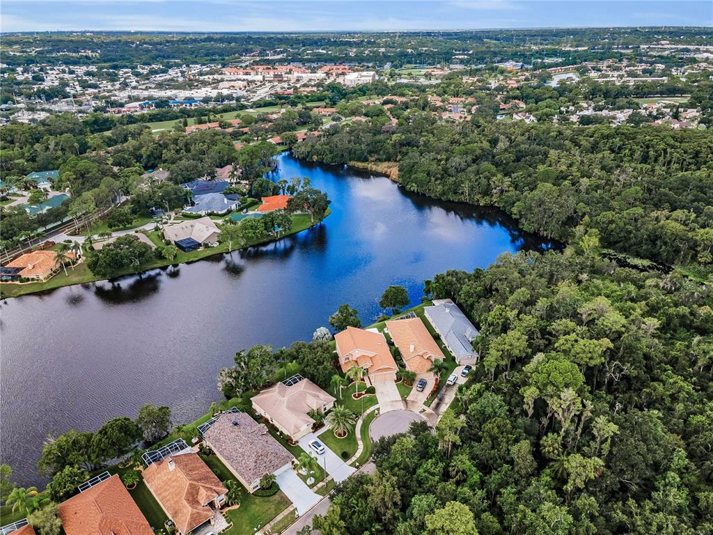 Oldsmar, Florida, 34677, United States, 3 Bedrooms Bedrooms, ,2 BathroomsBathrooms,Residential,For Sale,1933265