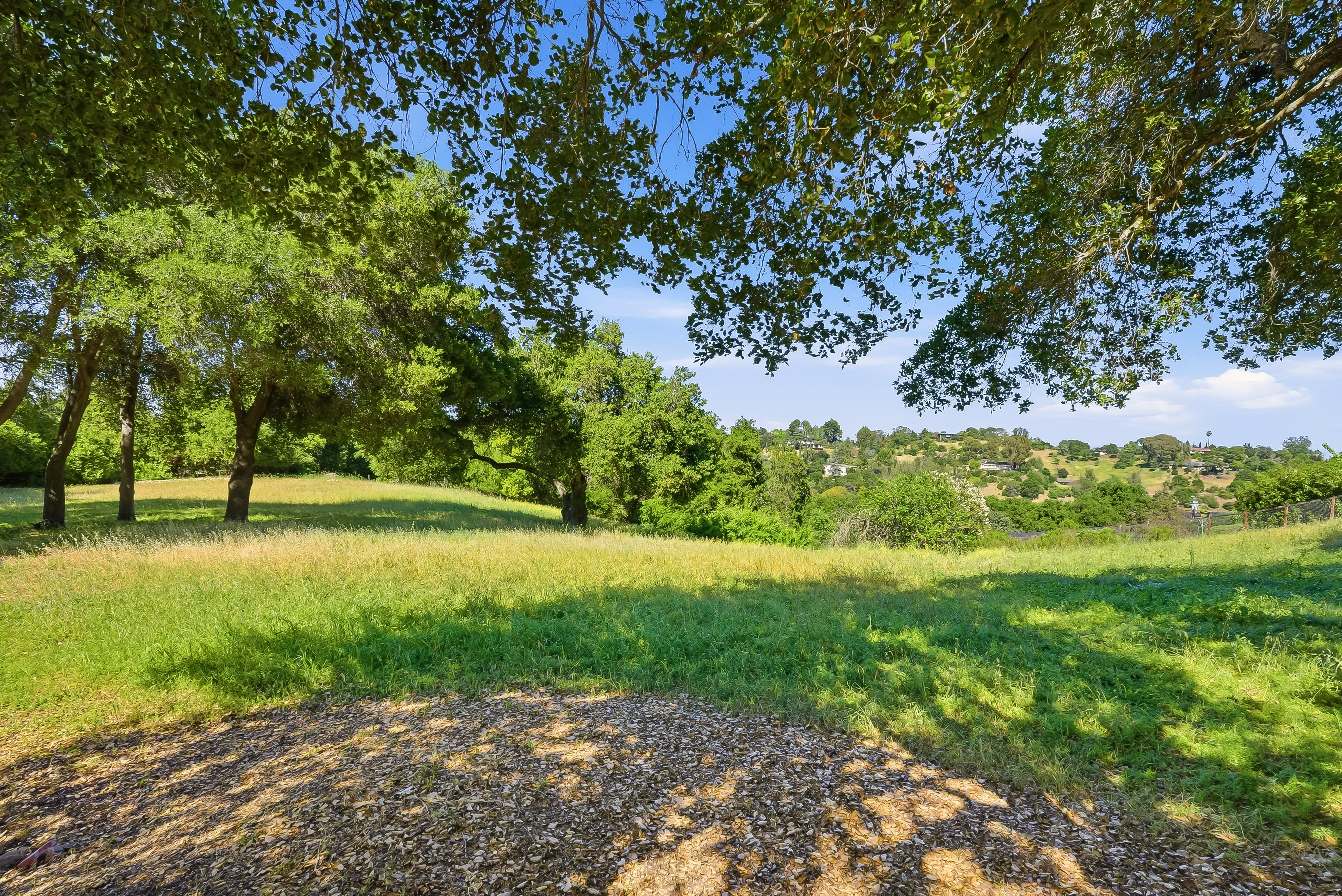  More Than 2.7 Acres of Privacy and Potential with Palo Alto Schools - 物件實景
