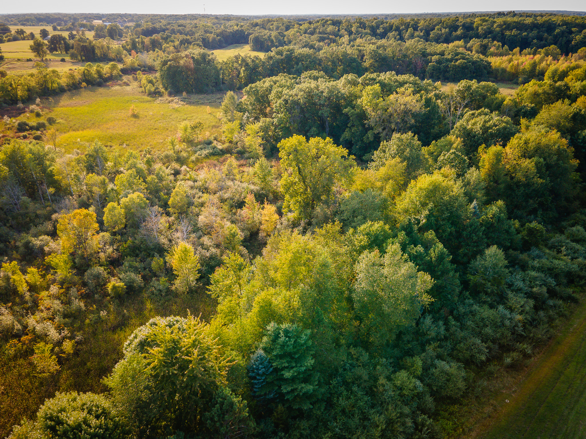 Jackson, Michigan, 49201, United States, 4 Bedrooms Bedrooms, ,2 BathroomsBathrooms,Residential,For Sale,1981022