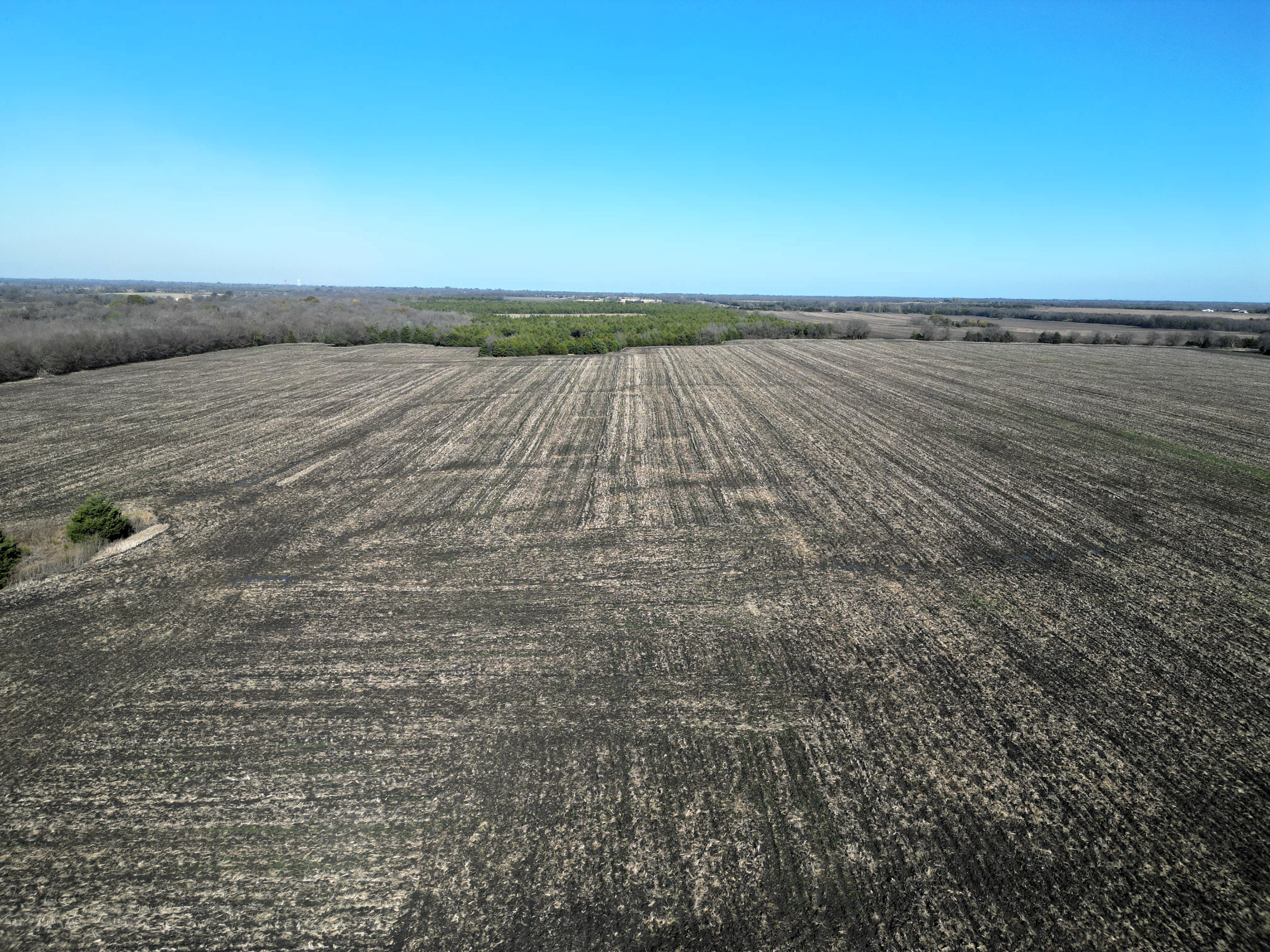 Commerce, Texas, 75428, United States, ,Land,For Sale,2001483