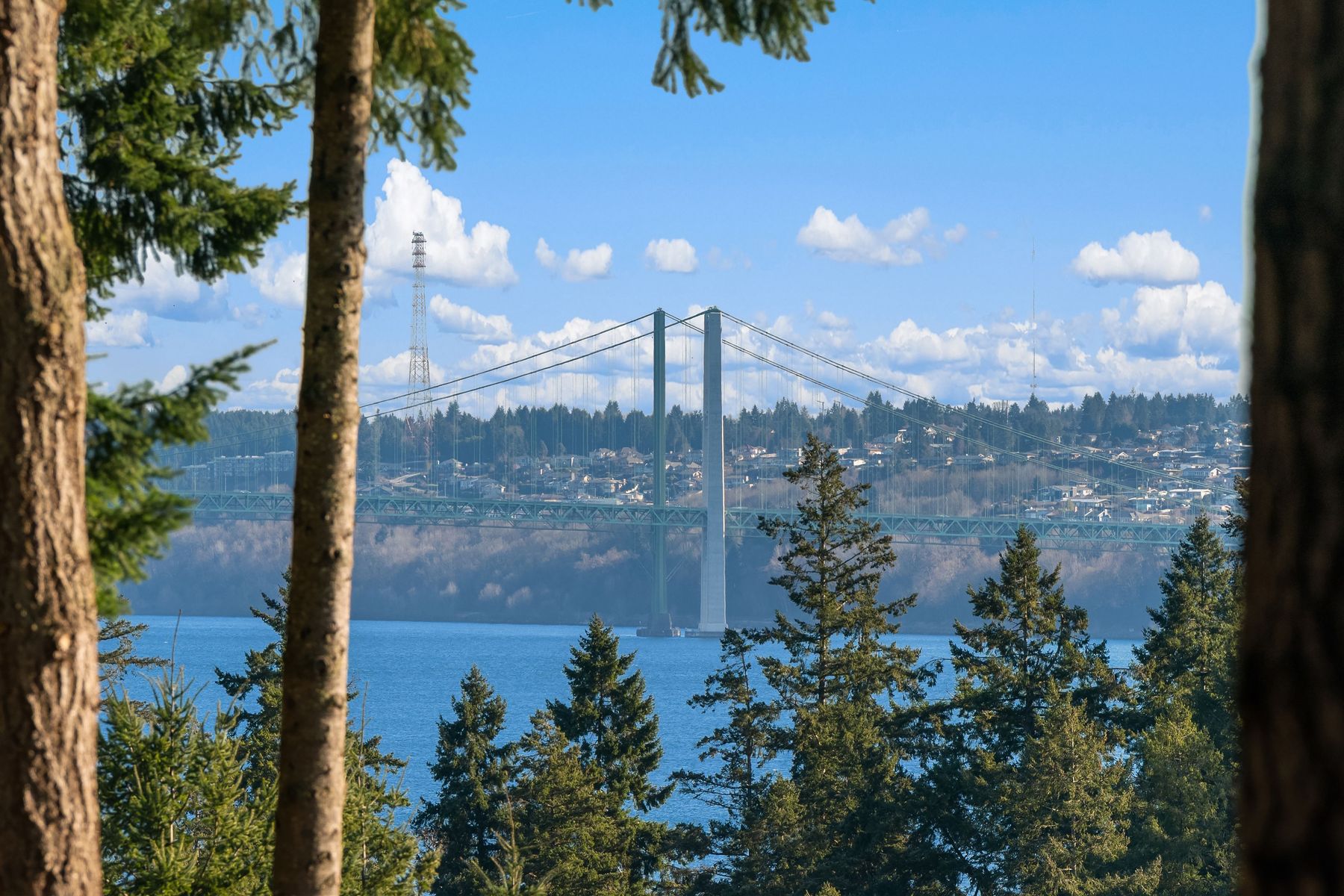  1157 12th Avenue, Fox Island, WA, 98333 - 物件實景