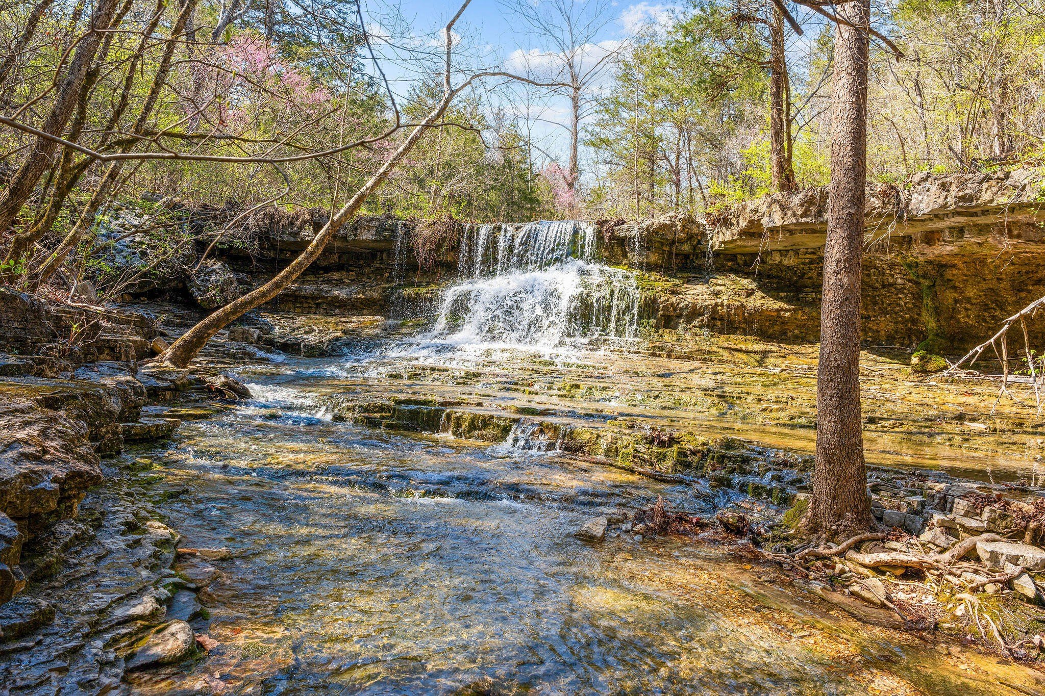Kirbyville, Missouri, 65679, United States, ,Land,For Sale,1978892