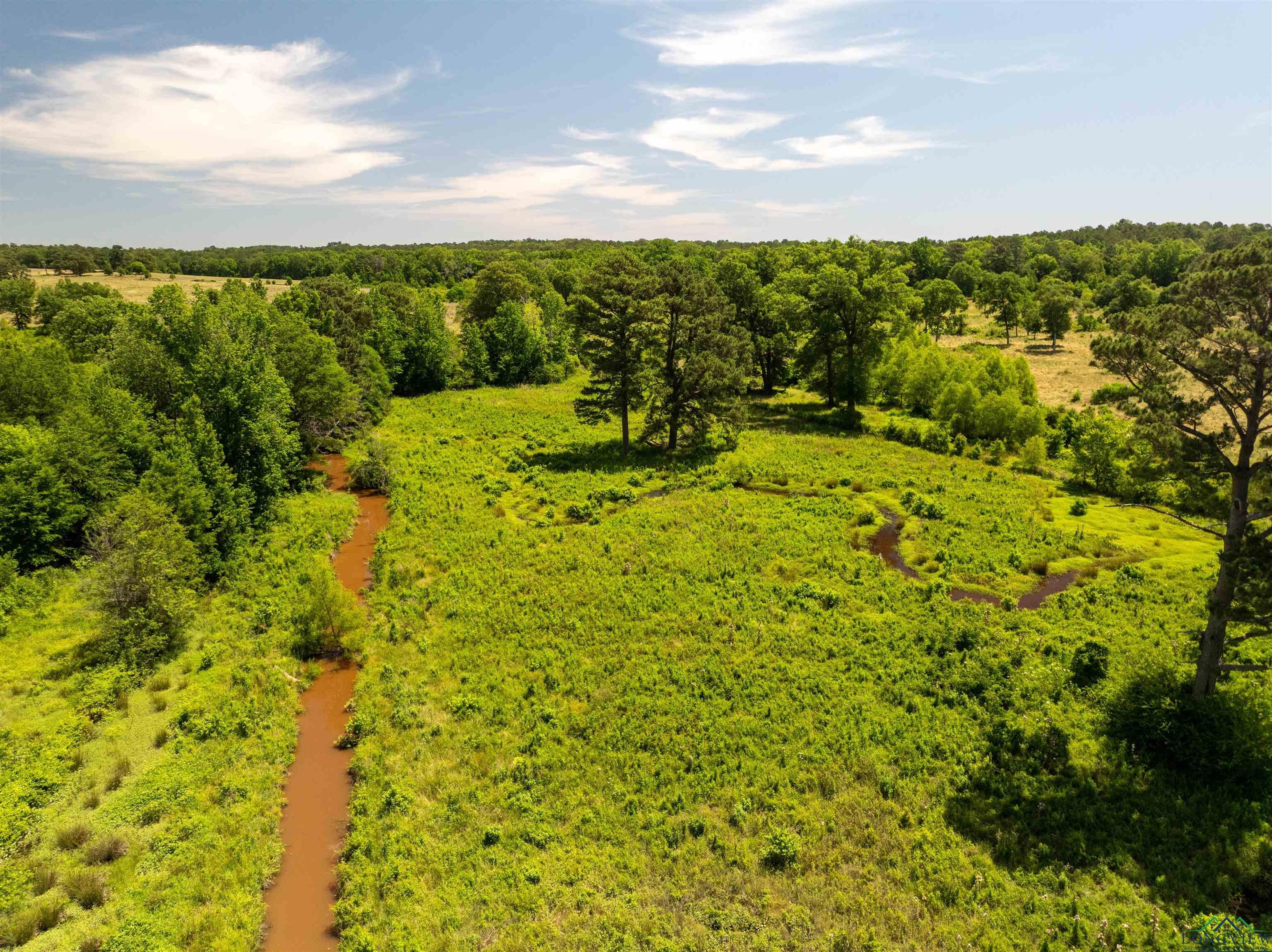 7557 FM 248, Lodi, Texas, 75564, United States, ,Residential,For Sale,7557 FM 248,1614560