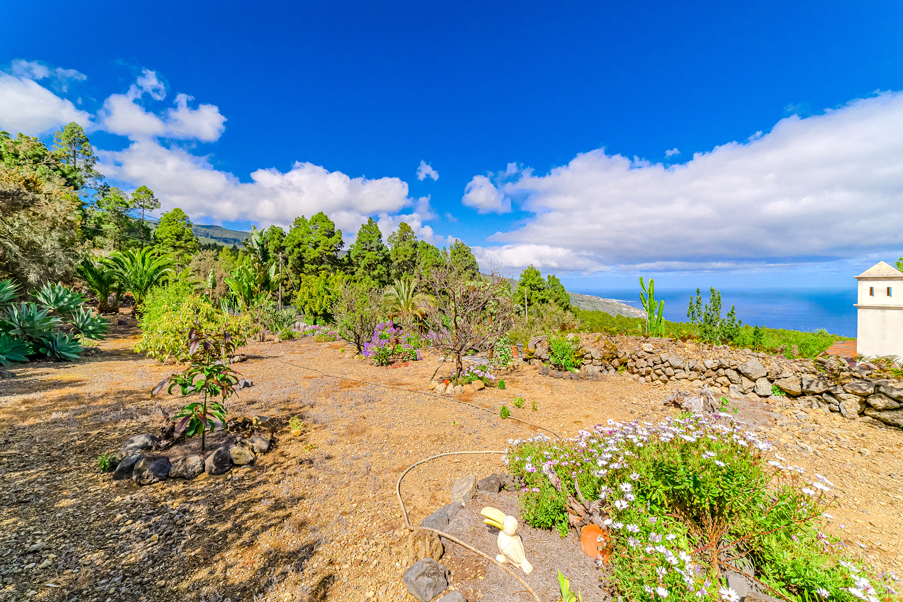  Rustic farmhouse in Icod de los Vinos, Tenerife - 物件實景