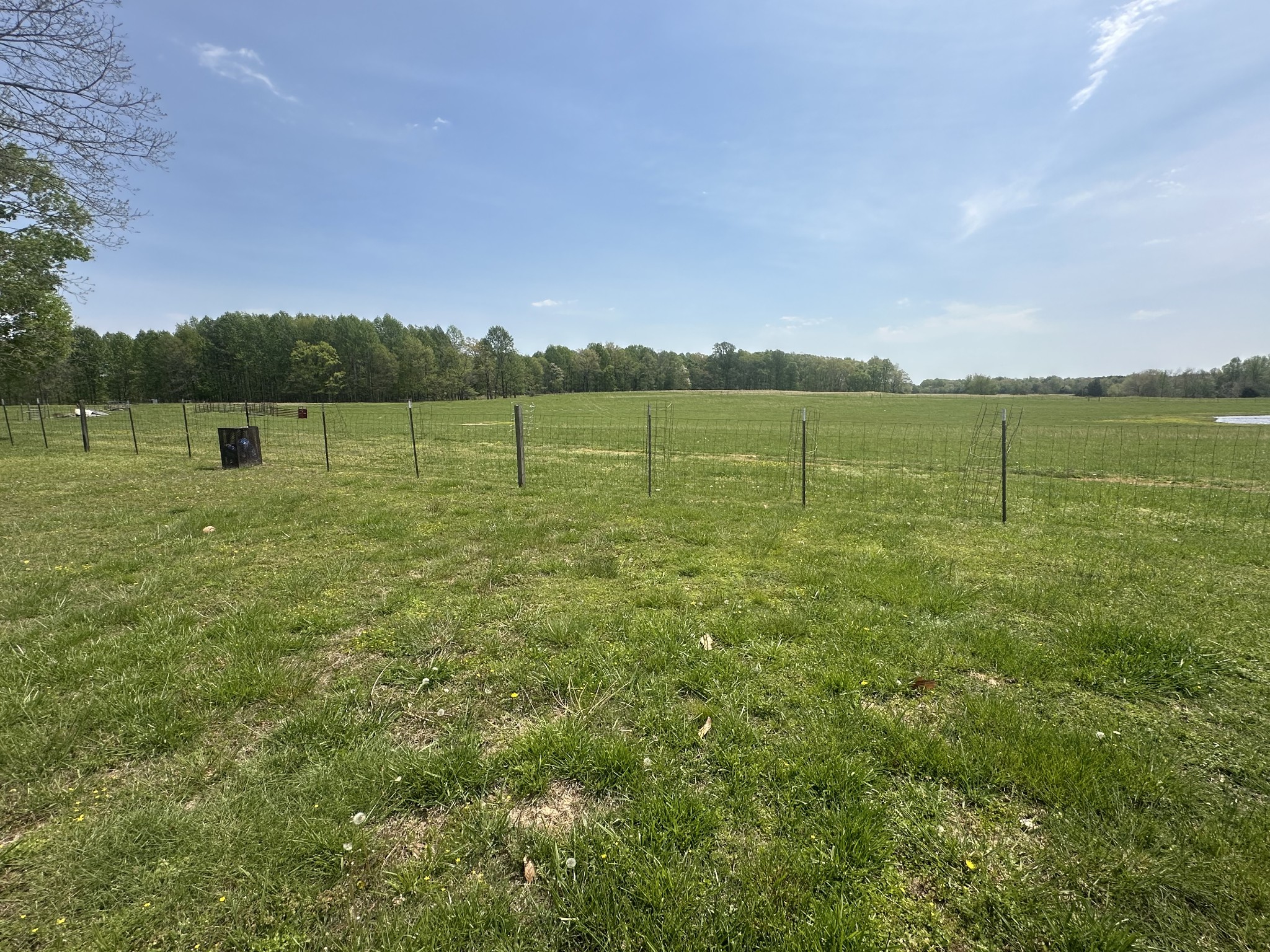 Lawrenceburg, Tennessee, 38464, United States, 3 Bedrooms Bedrooms, ,1 BathroomBathrooms,Residential,For Sale,1767762