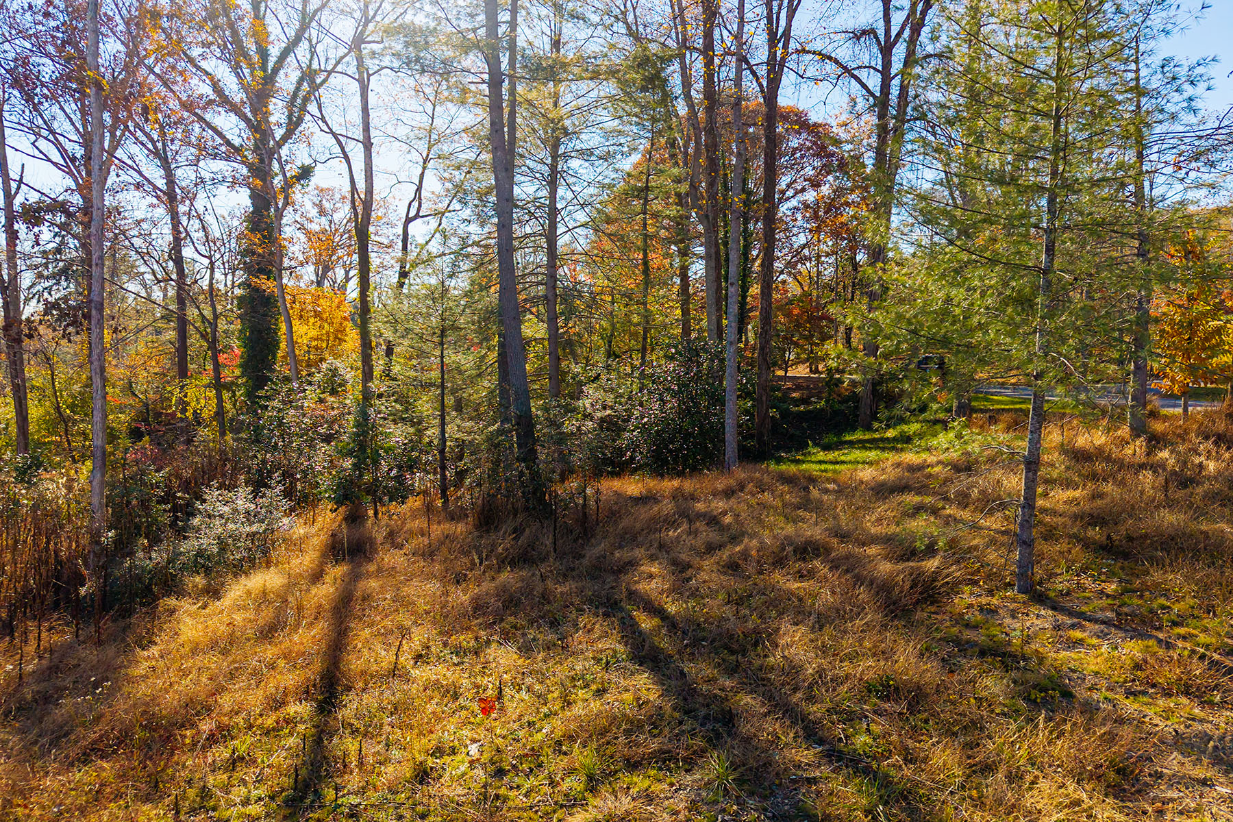  ASHEVILLE - 物件實景