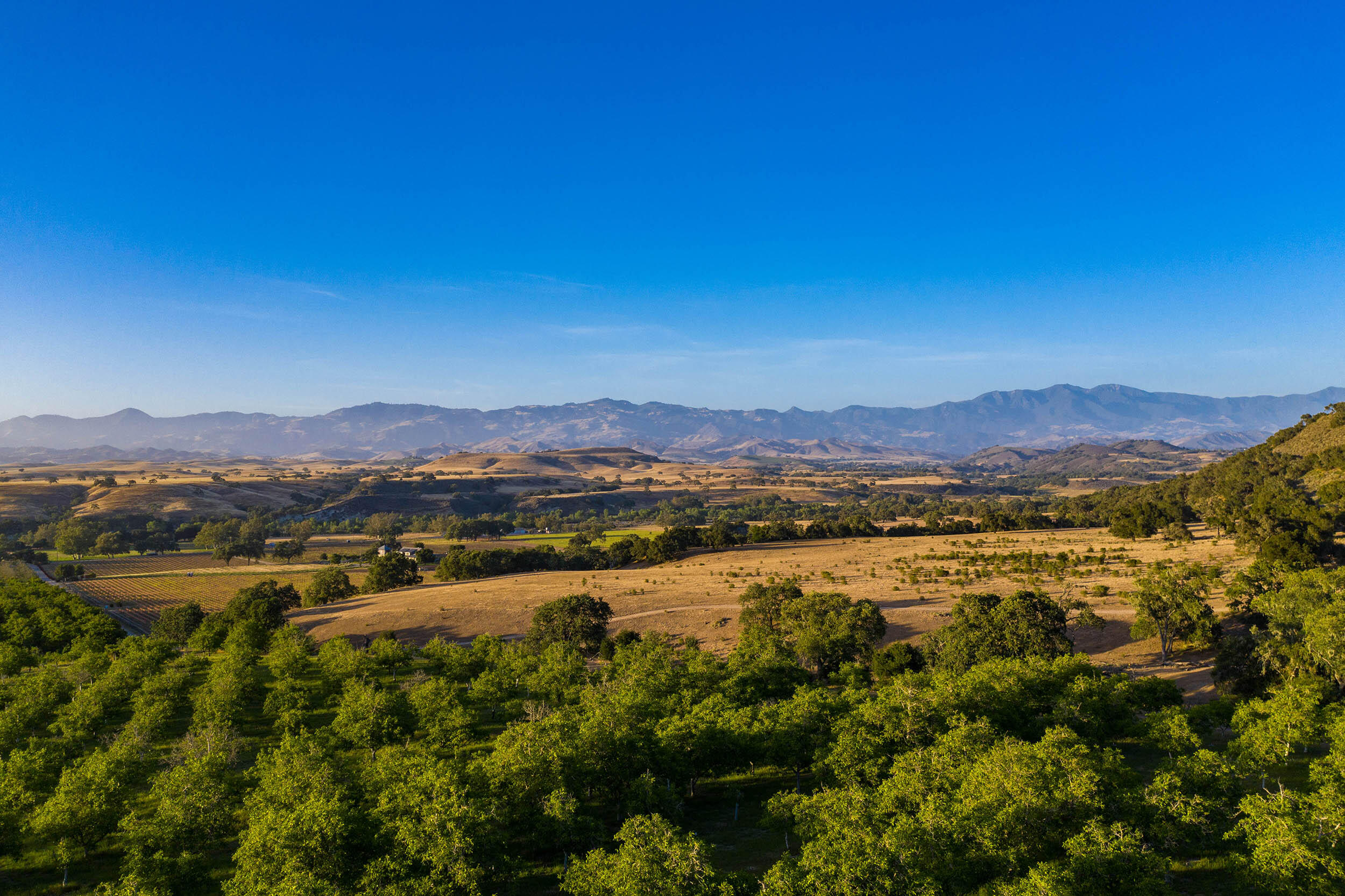 Santa Ynez, California, 93460, United States, 3 Bedrooms Bedrooms, ,6 BathroomsBathrooms,Residential,For Sale,1709883