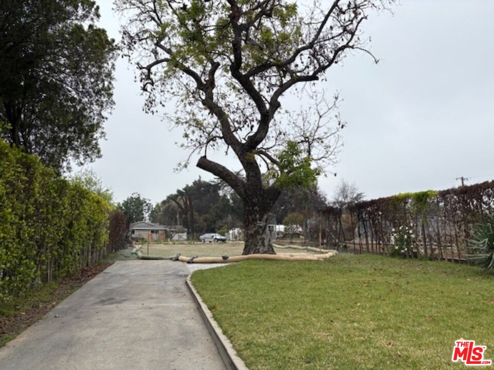 Altadena, California, 91001, United States, ,Land,For Sale,1796790