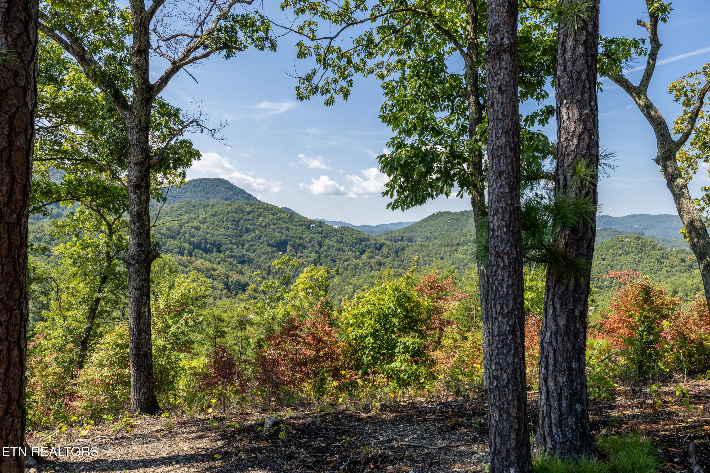 Sevierville, Tennessee, 37862, United States, 3 Bedrooms Bedrooms, ,3 BathroomsBathrooms,Residential,For Sale,1979377