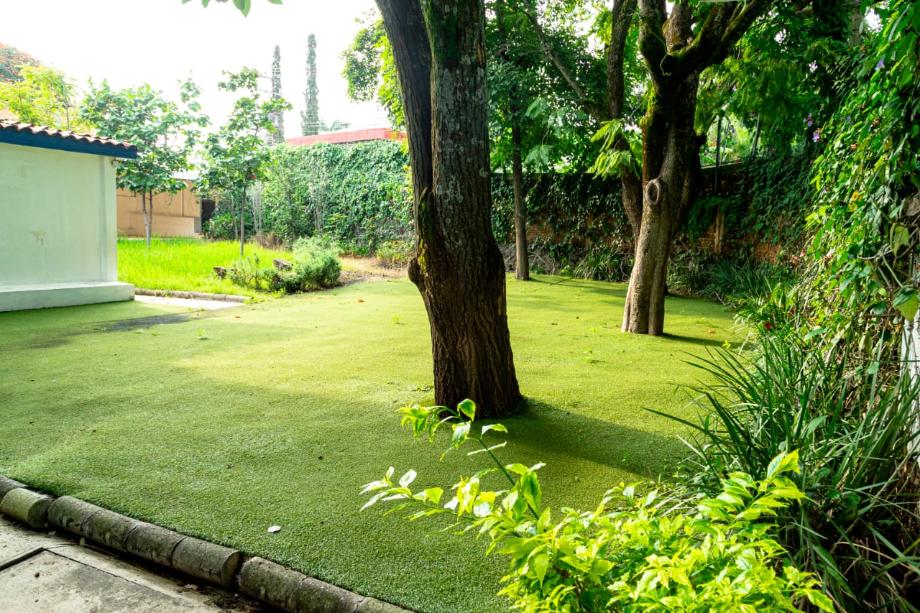 AV. Eugenia, Cuernavaca, Morelos, 62350, Mexico, 1 Bedroom Bedrooms, ,Residential,For Sale,AV. Eugenia,1630173