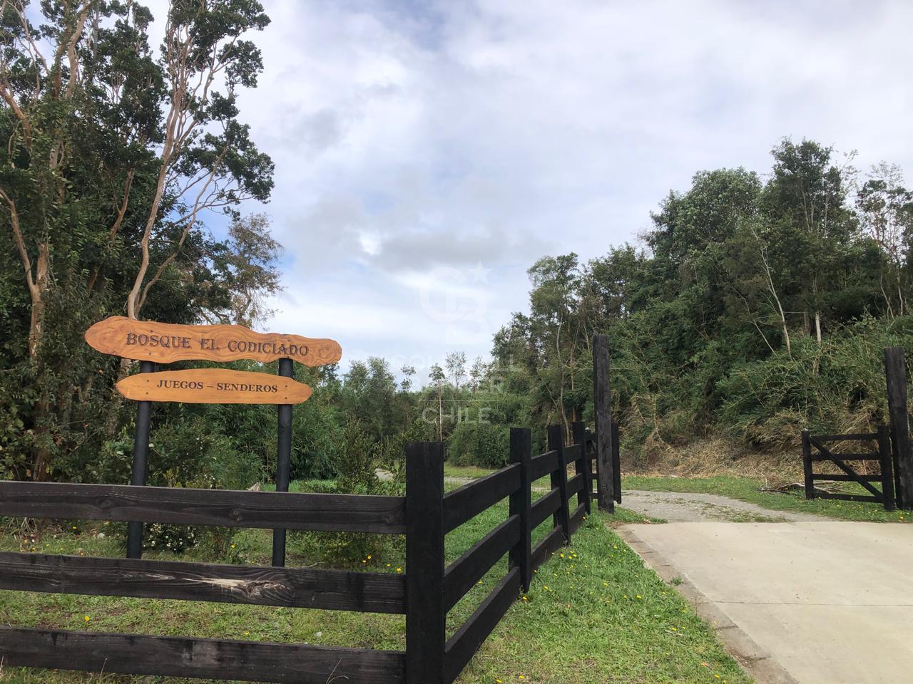 Puerto Varas, Chile, ,Residential,For Sale,1959387