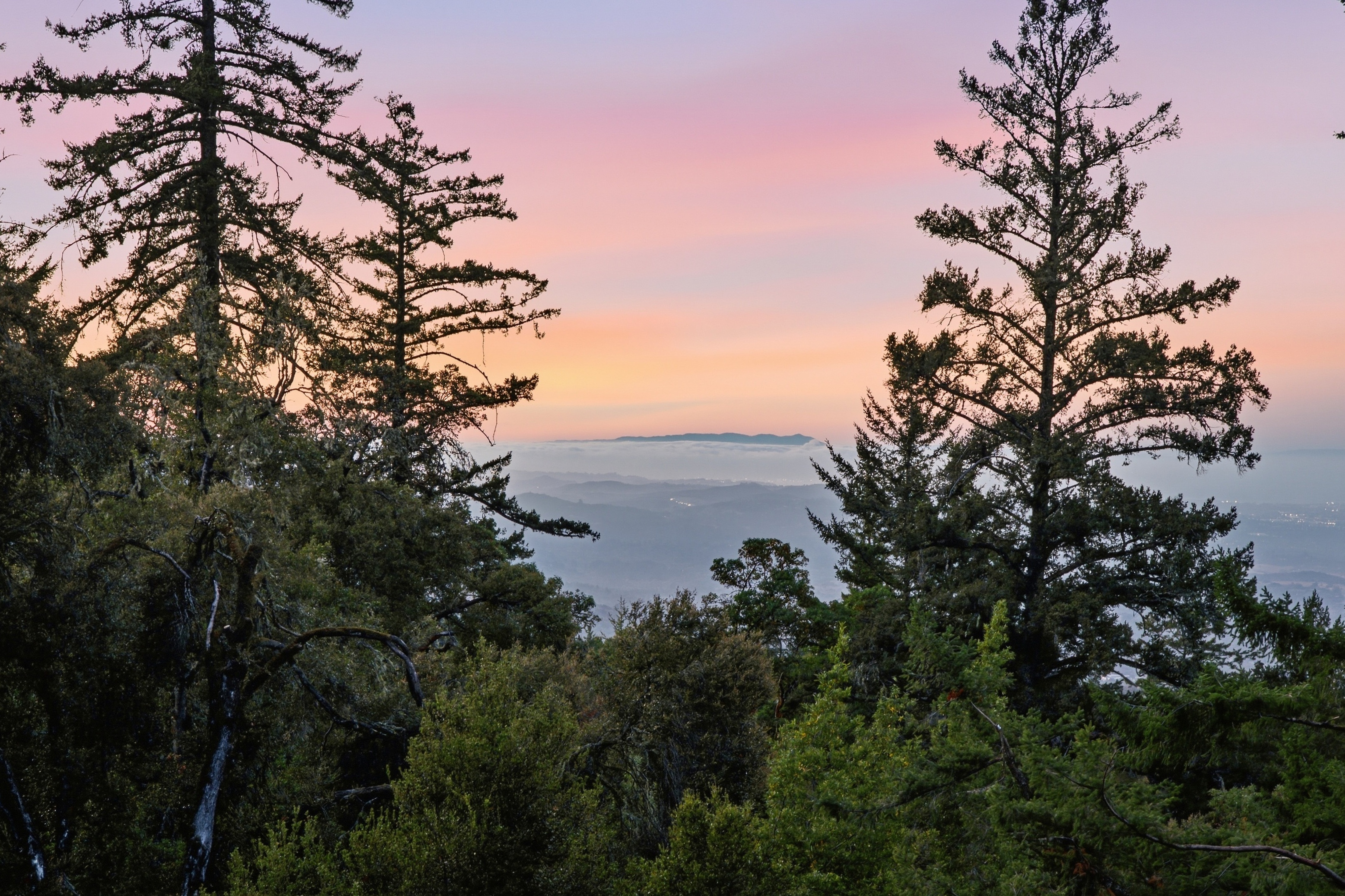  Exceptional Five-Acre Estate Opportunity with Bay Area Views - 物件實景