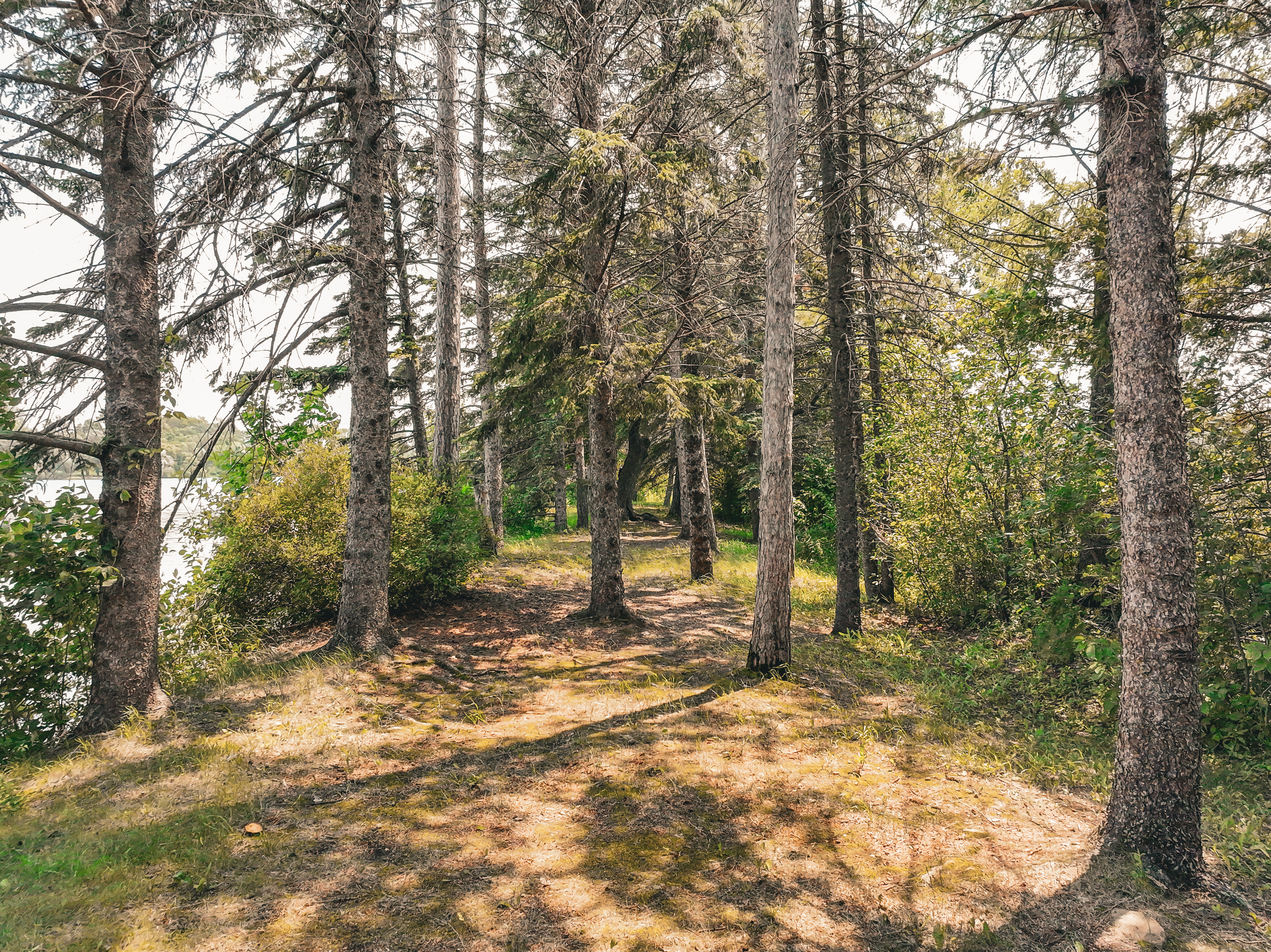  Extraordinary Waterfront Opportunity on Pearson’s Lake - 物件實景