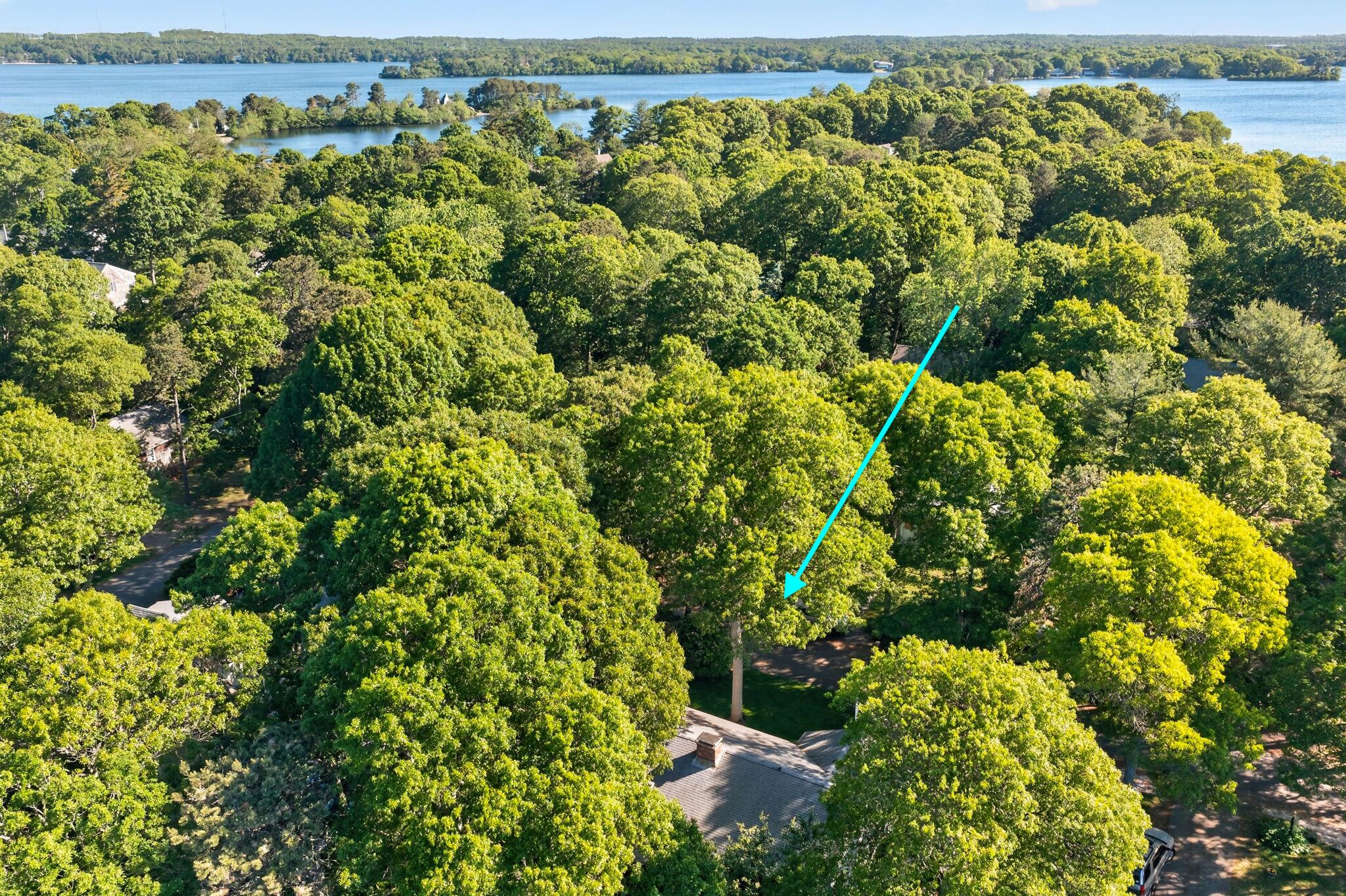  15 Brezner Lane, Centerville, MA, 02632 - 物件實景