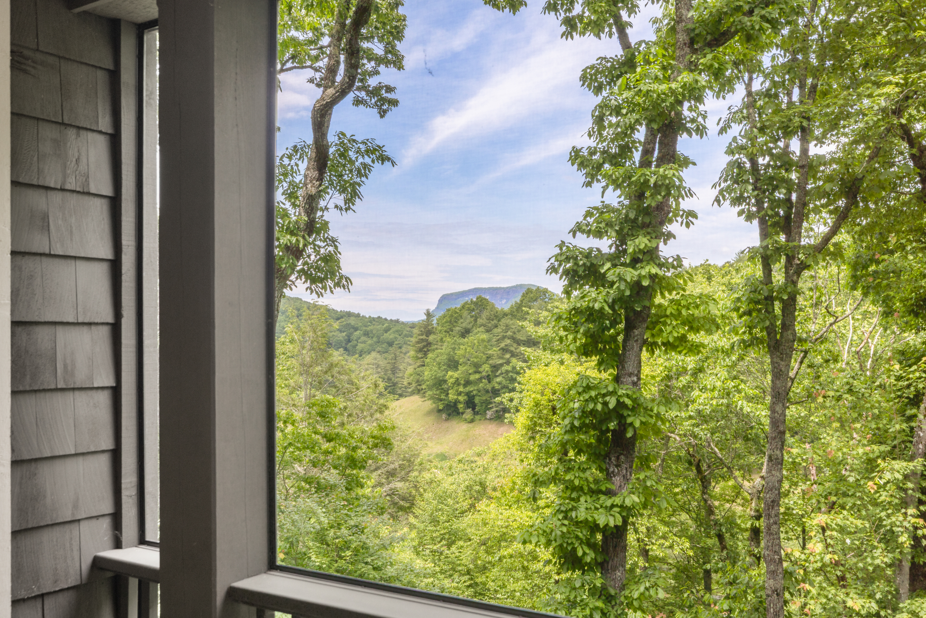 125 Wild Azalea Trail, Wade Hampton Golf Club - 物件實景