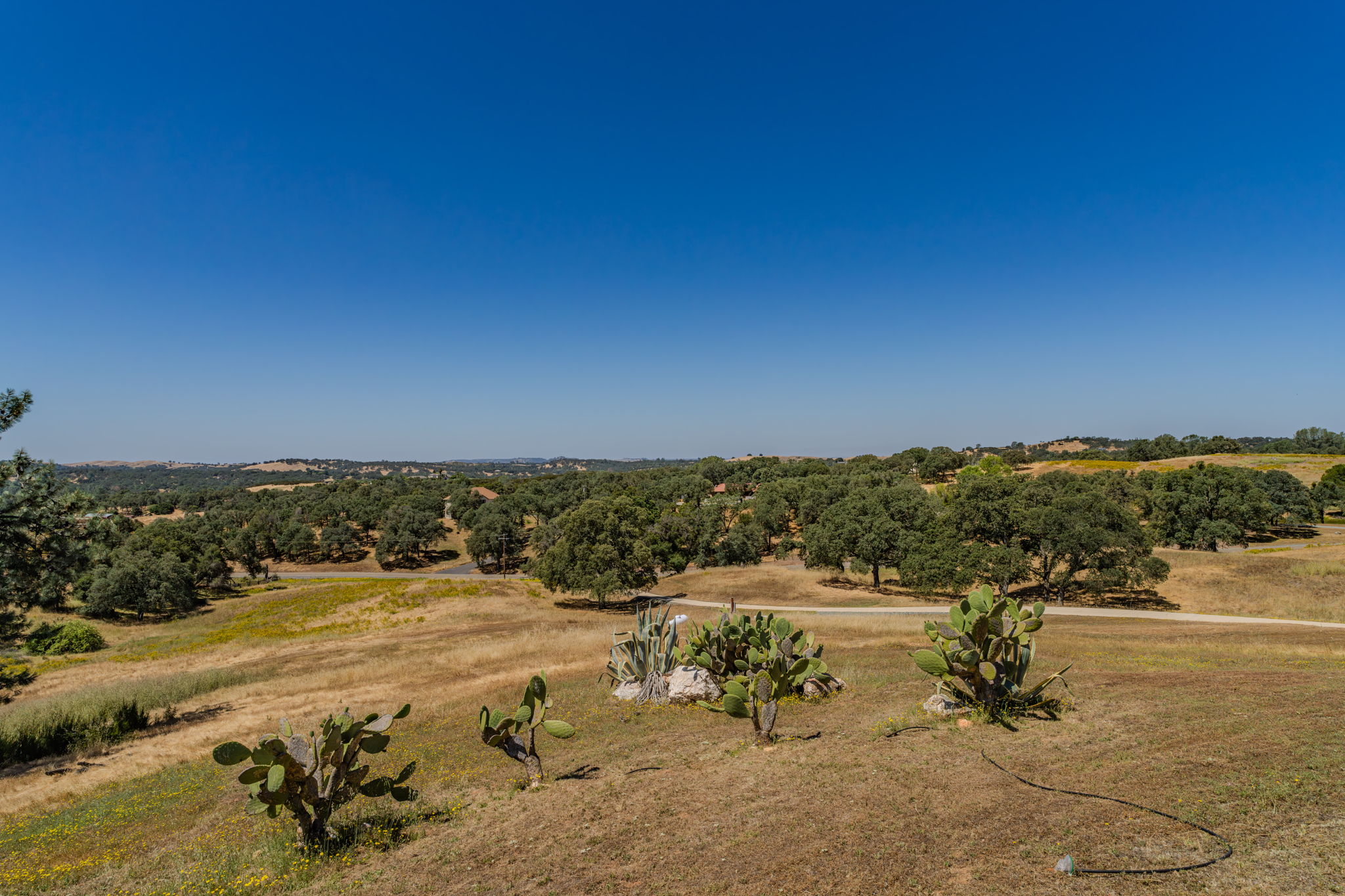  15070 Willow Creek Road, Plymouth, CA 95669 - 物件實景