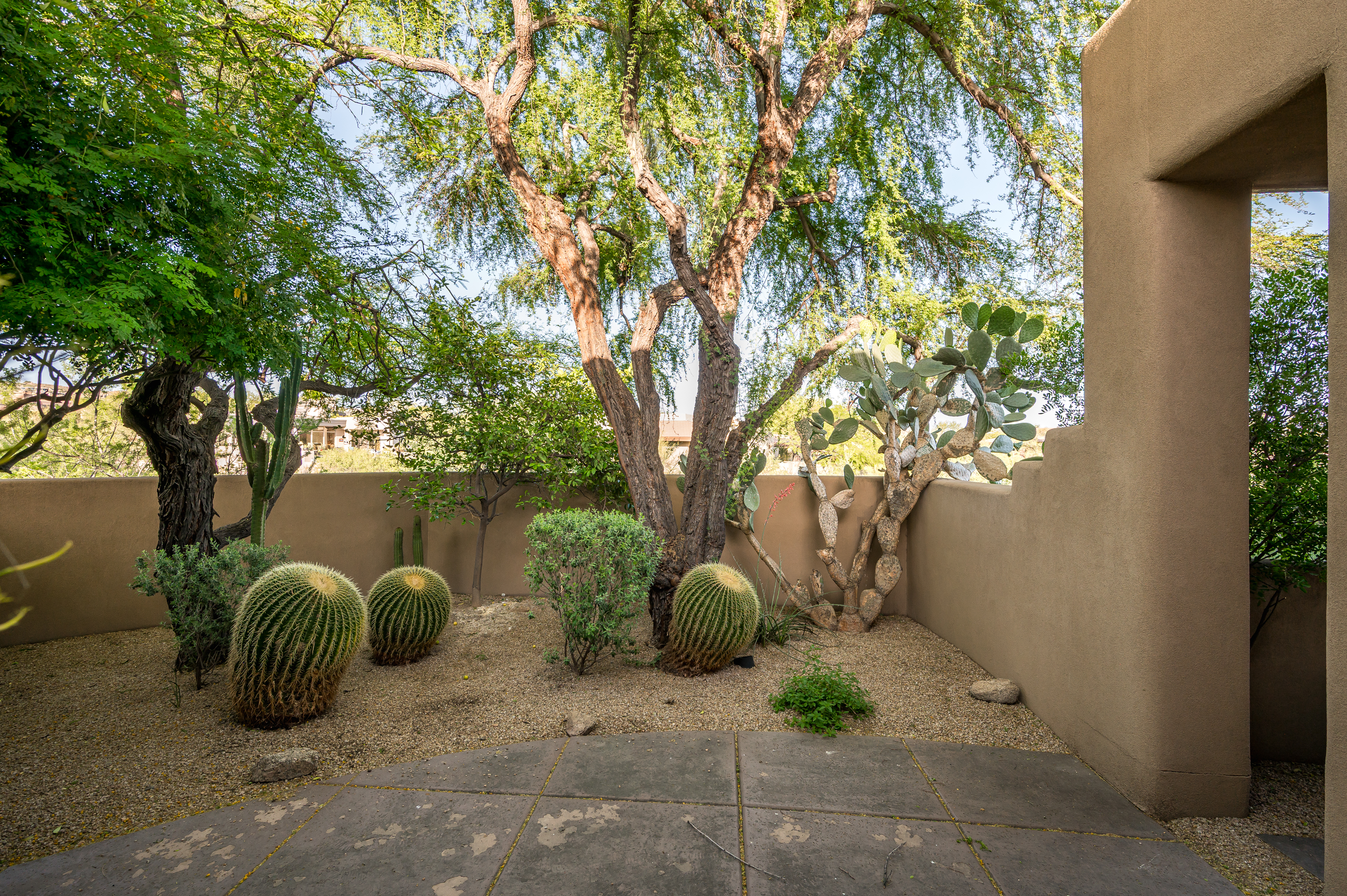  41509 N 106th Street  Scottsdale, AZ - 物件實景