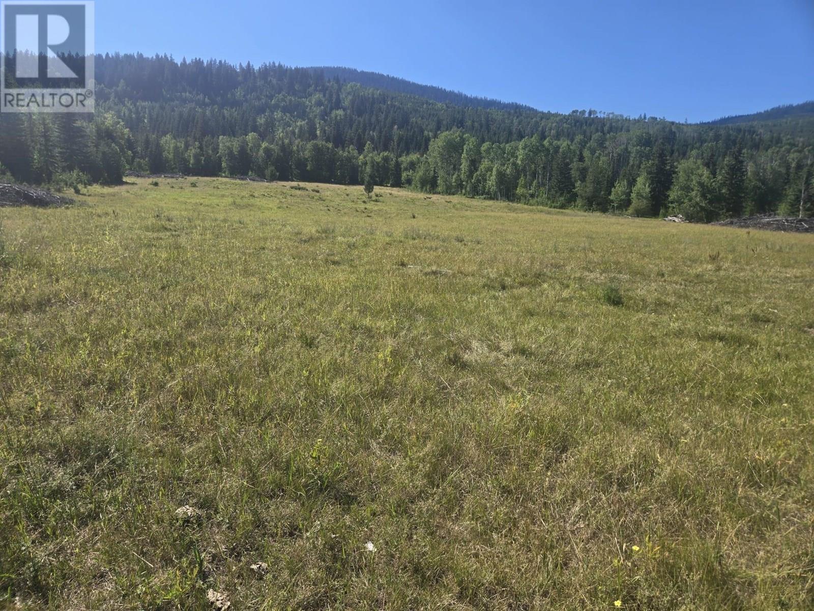 FALKLAND, British Columbia, V0E 1W1, CA, ,Residential,For Sale,1906760