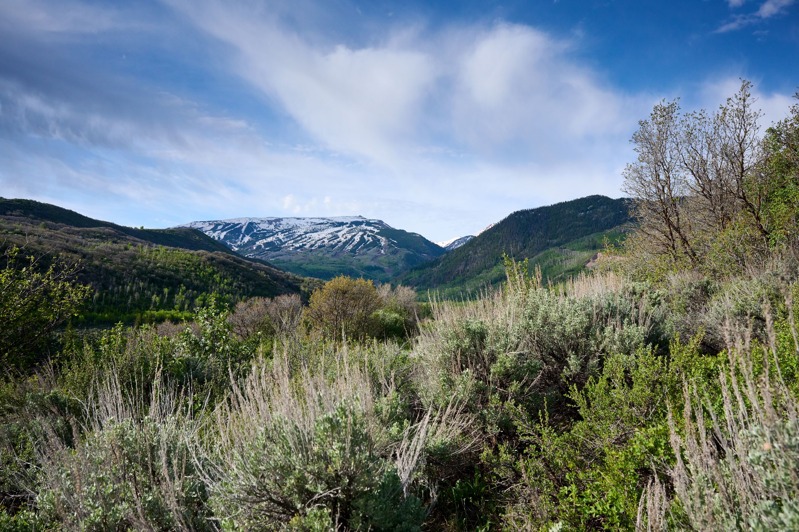  51 Shield O Road, Snowmass, CO, 81654 - 物件實景