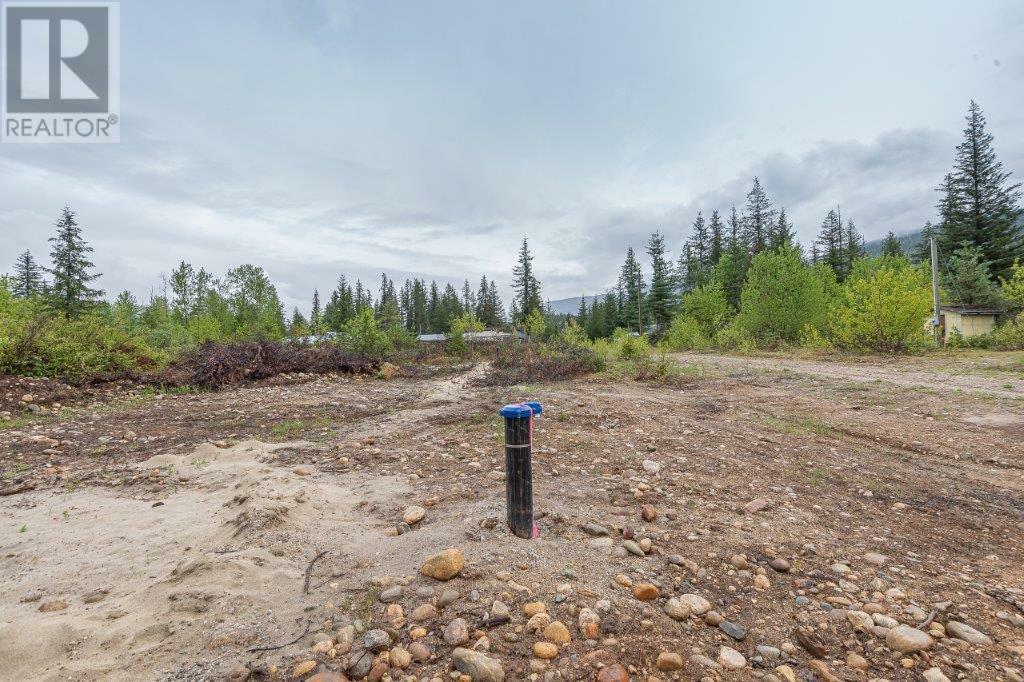 MALAKWA, British Columbia, V0E 2J0, CA, ,Residential,For Sale,1839000