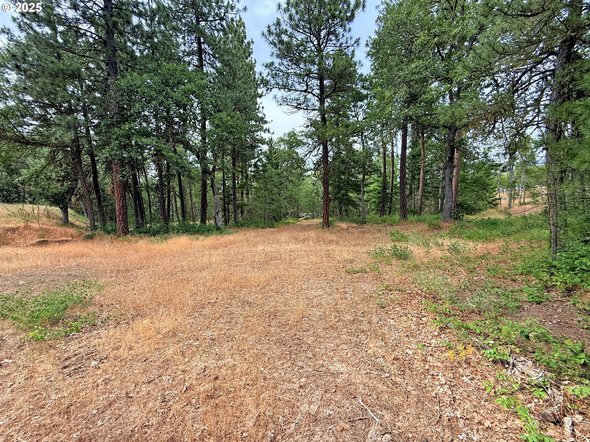Lyle, Washington, 98635, United States, 3 Bedrooms Bedrooms, ,2 BathroomsBathrooms,Residential,For Sale,1875194