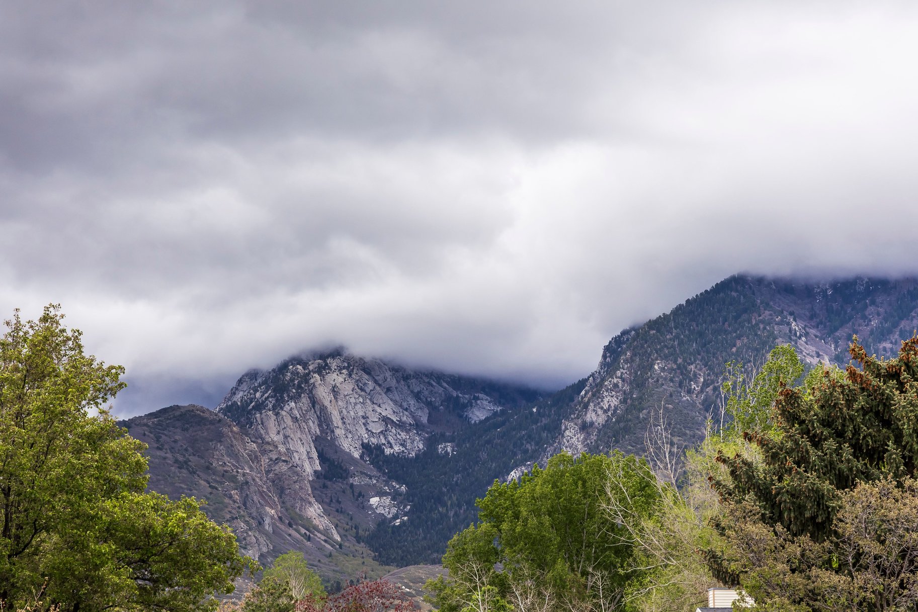  Sandy Gem Near the Canyons with Beautiful Backyard Living - 物件實景