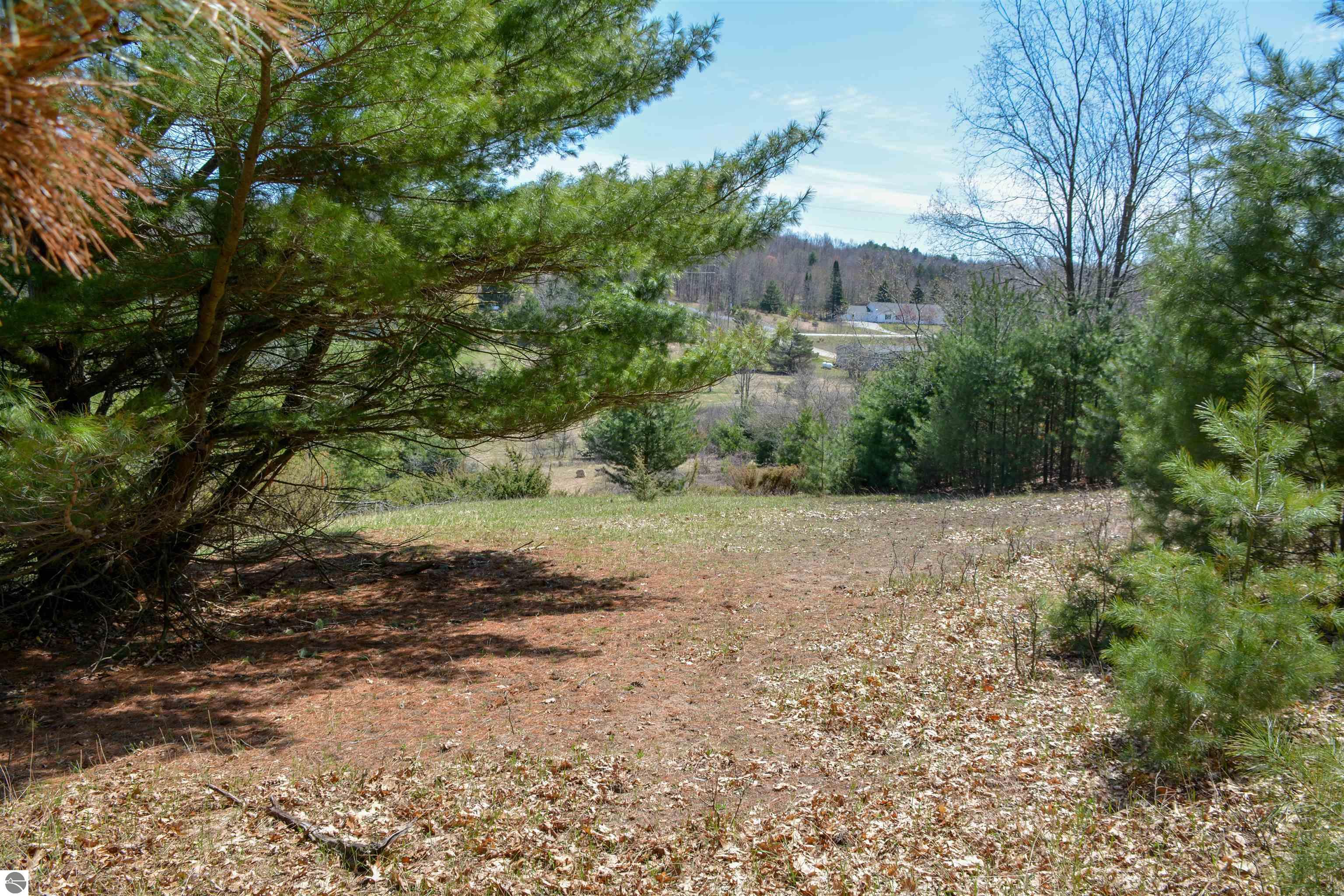 Traverse City, Michigan, 49696, United States, ,Land,For Sale,1850292