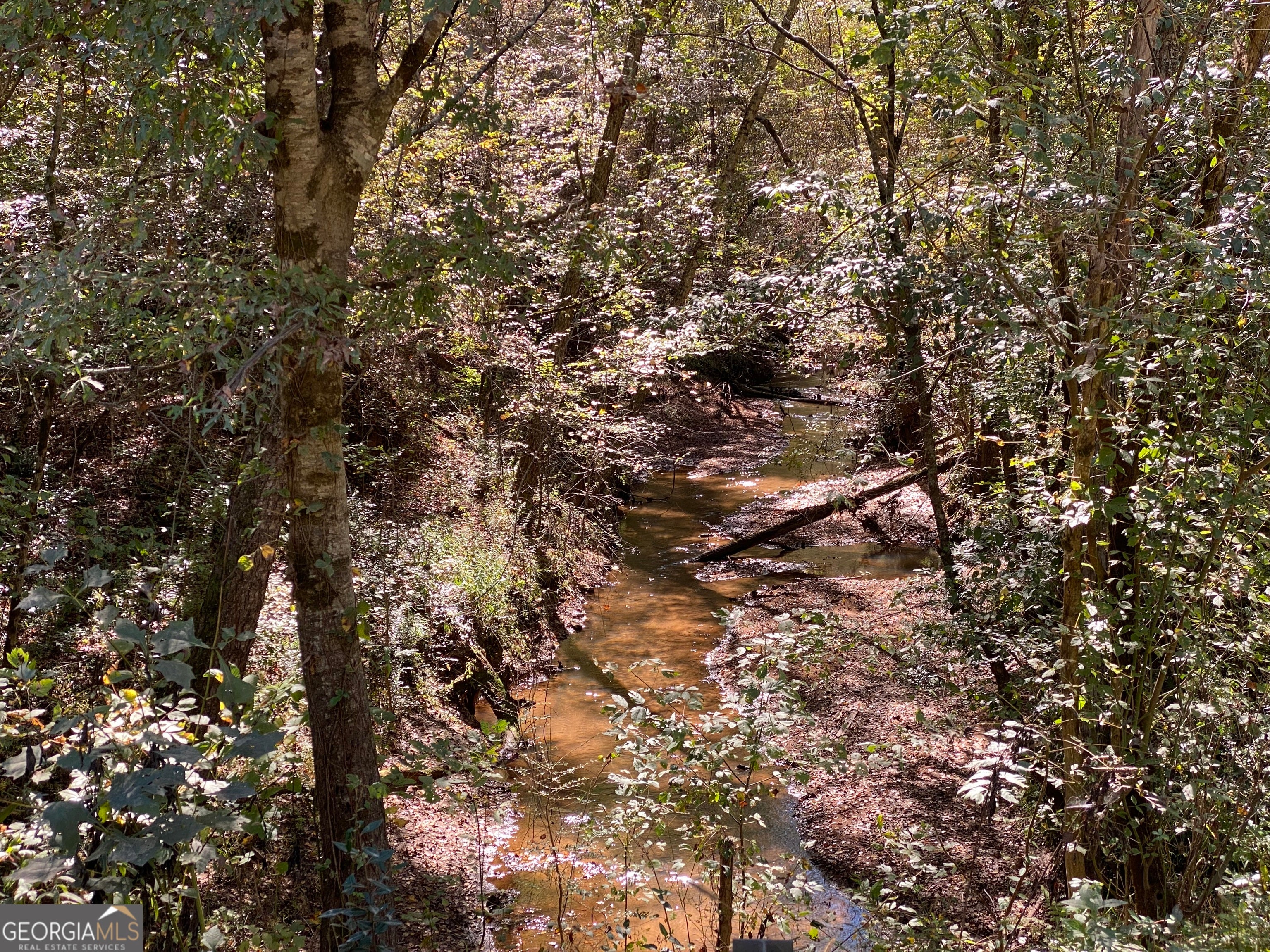 Forsyth, Georgia, 31029, United States, ,Land,For Sale,1907989