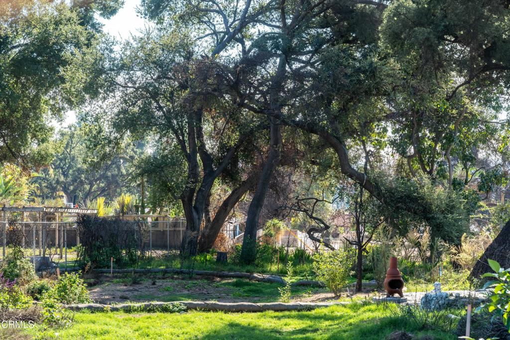 Altadena, California, 91001, United States, ,Land,For Sale,2000567