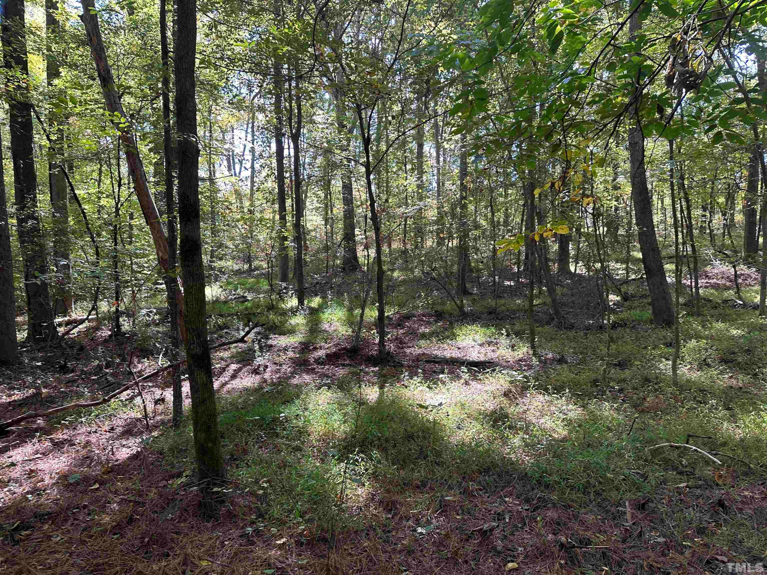 8017 Farrington Mill Road, Chapel Hill, North Carolina, 27517, United States, ,Land,For Sale,8017 Farrington Mill Road,1623508