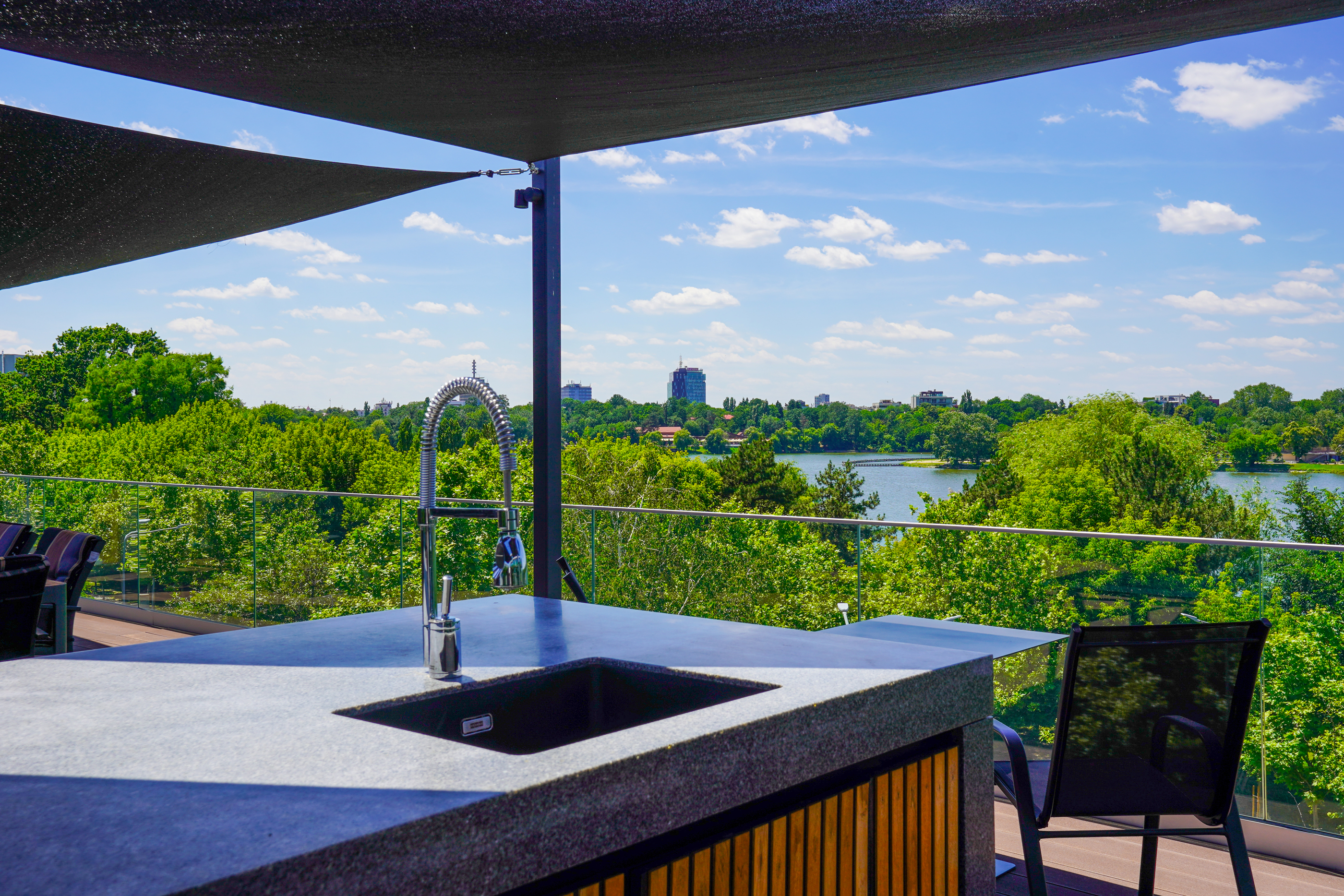  Rare Villa Overlooking Lake Floreasca - 物件實景