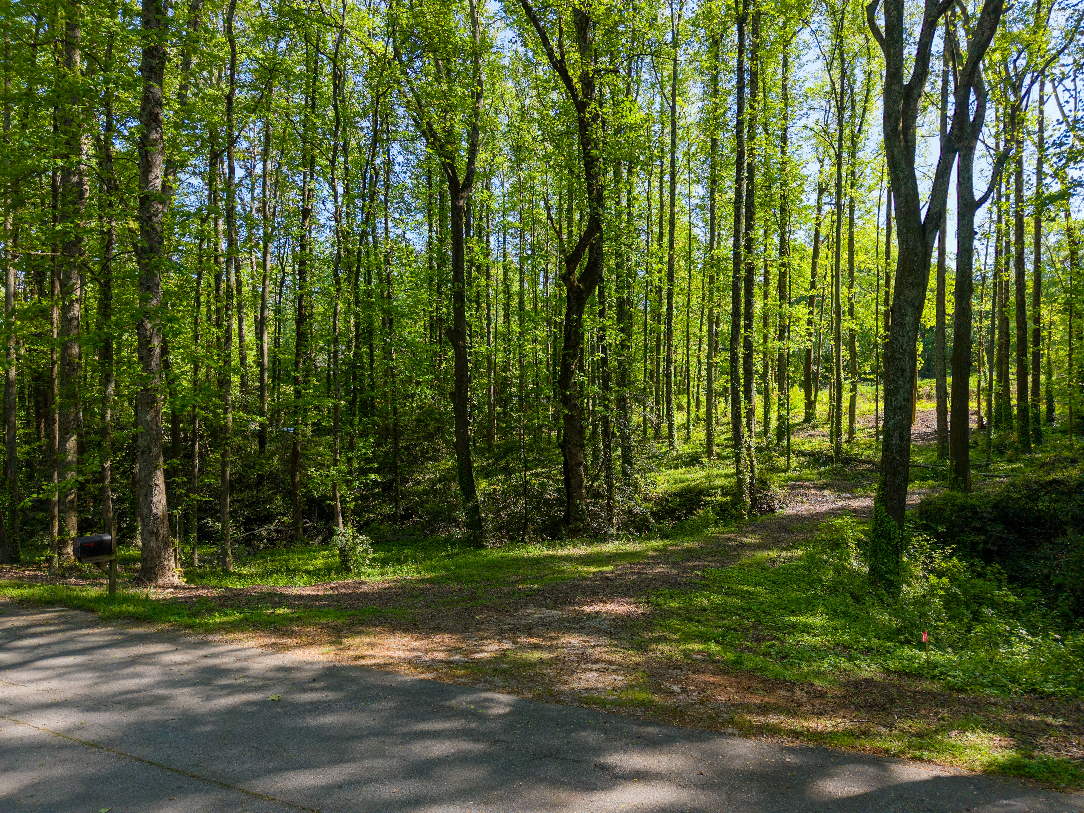  6 Stratton Place, Greenville, SC 29615 - 物件實景
